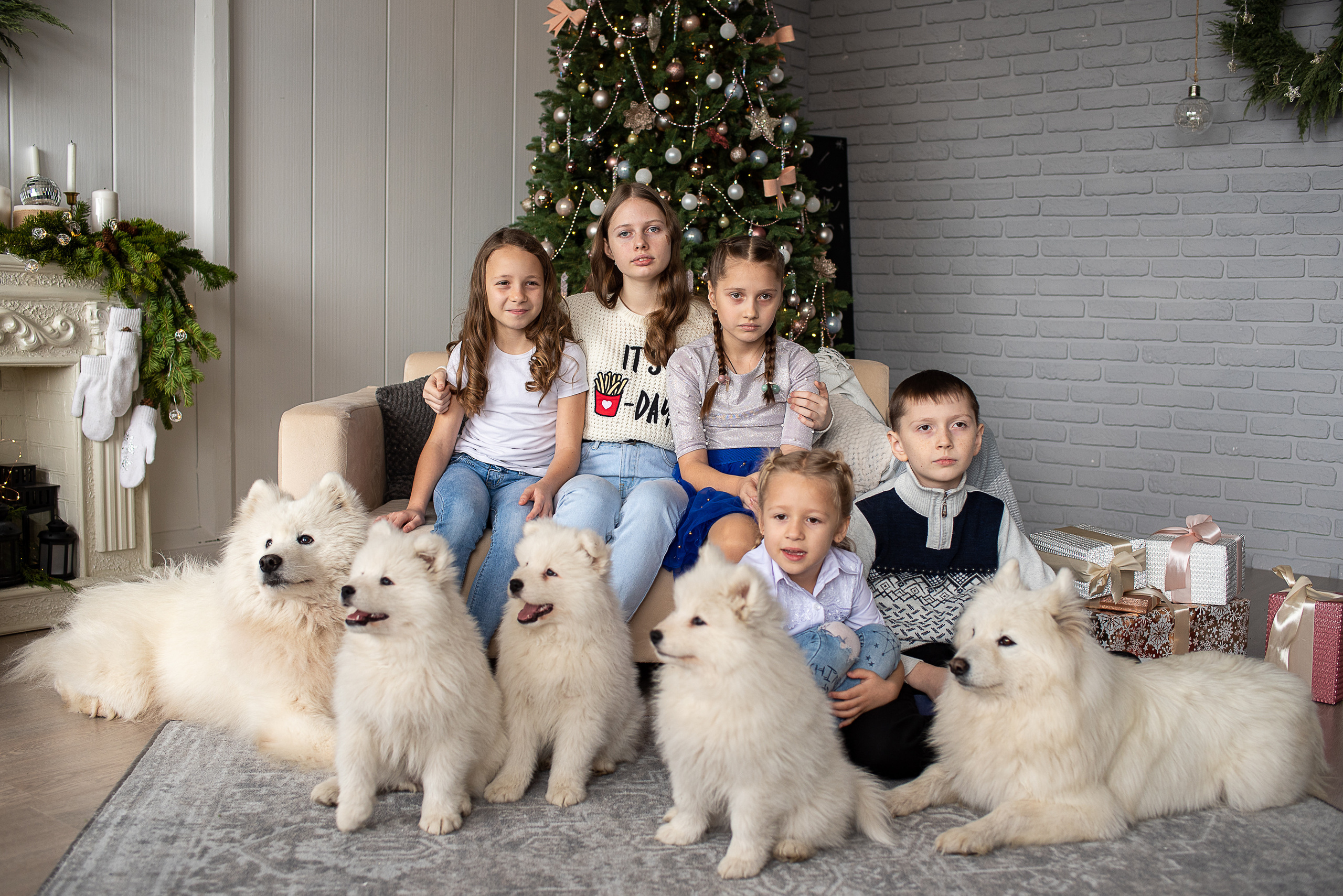 Дети и самоеды. Видеосьемка, фотосьемка свадеб, юбилеев, утренников в Краснодарском кр