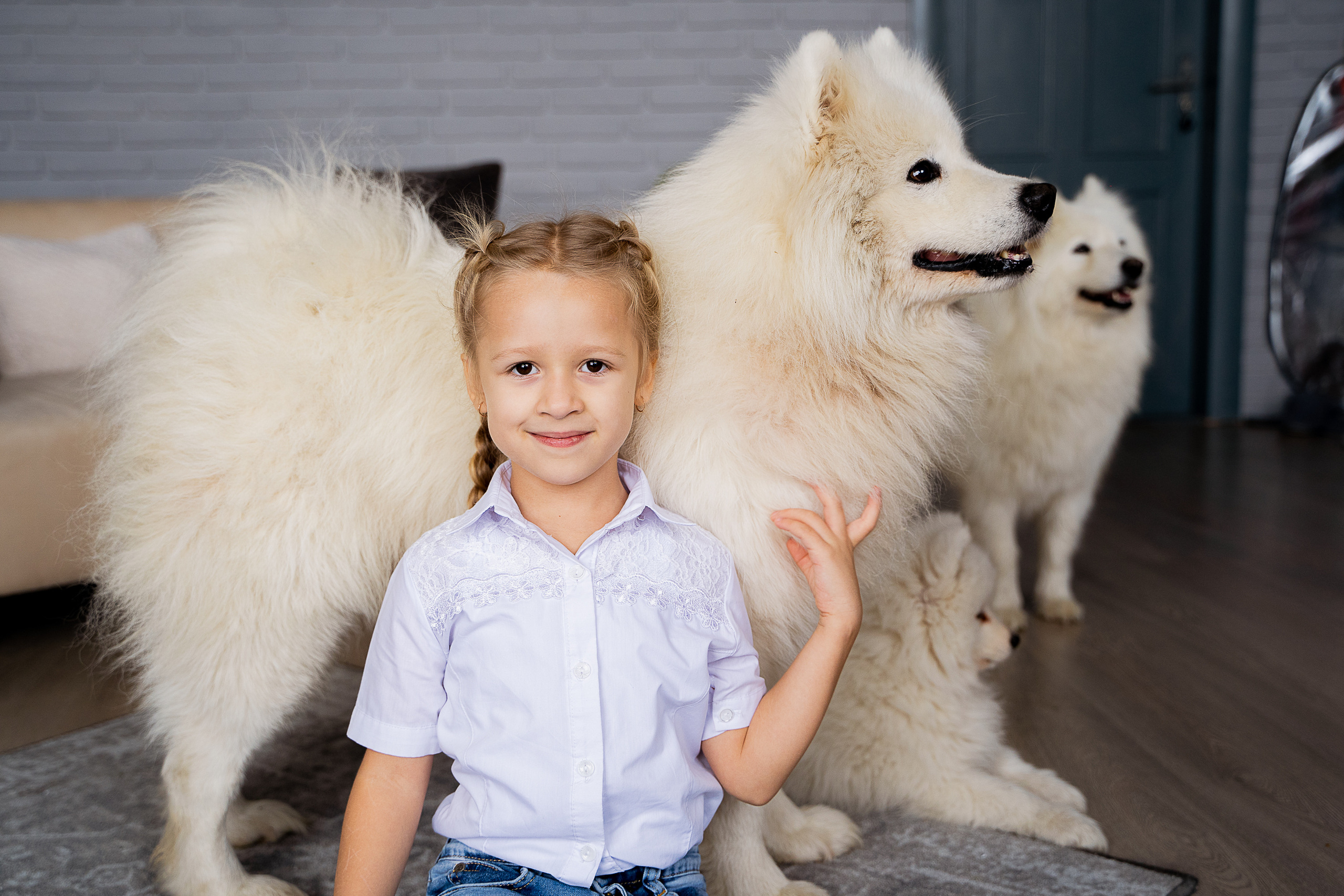 Дети и самоеды. Видеосьемка, фотосьемка свадеб, юбилеев, утренников в Краснодарском кр