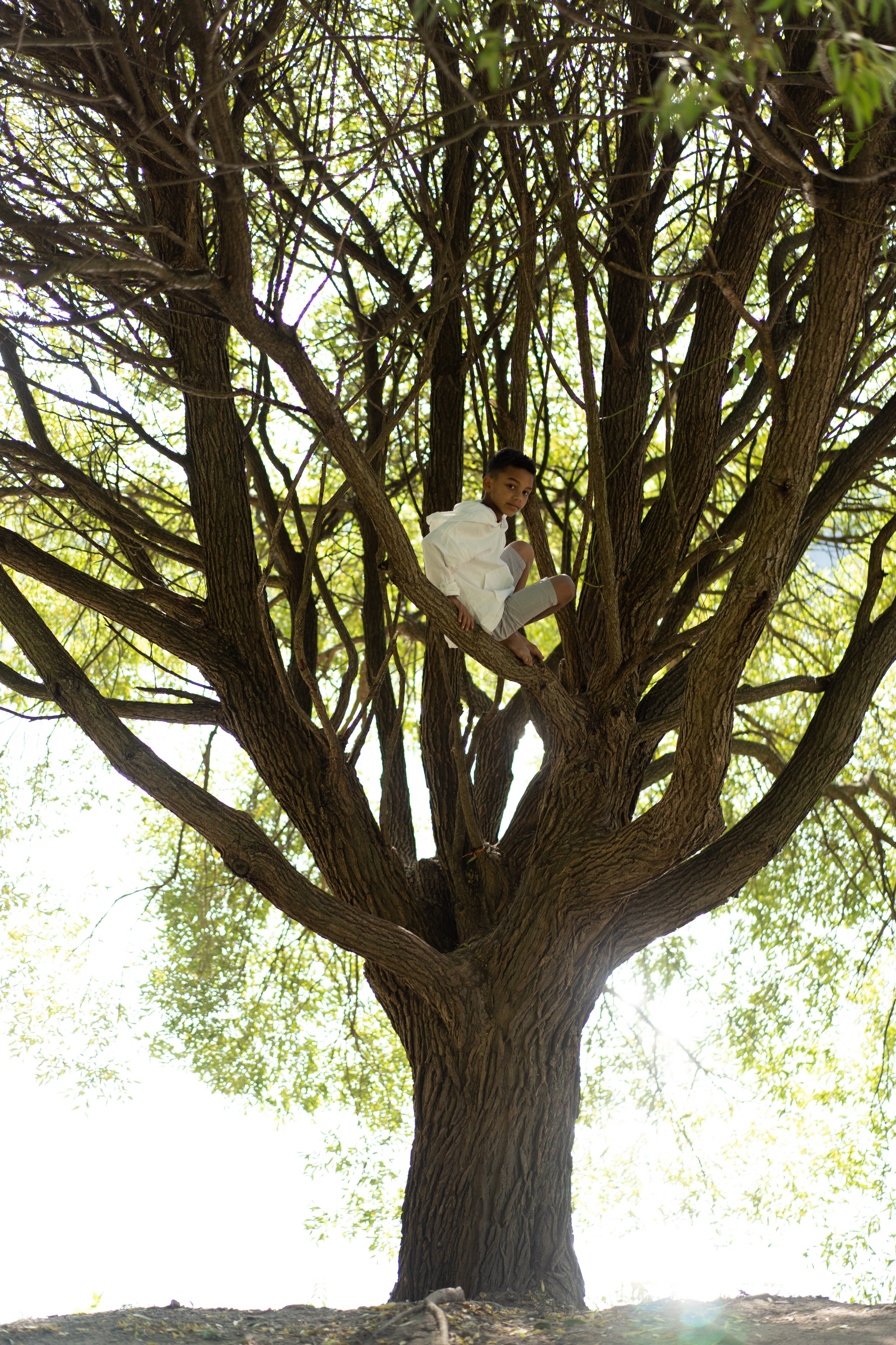 Родом из Англии. Главная