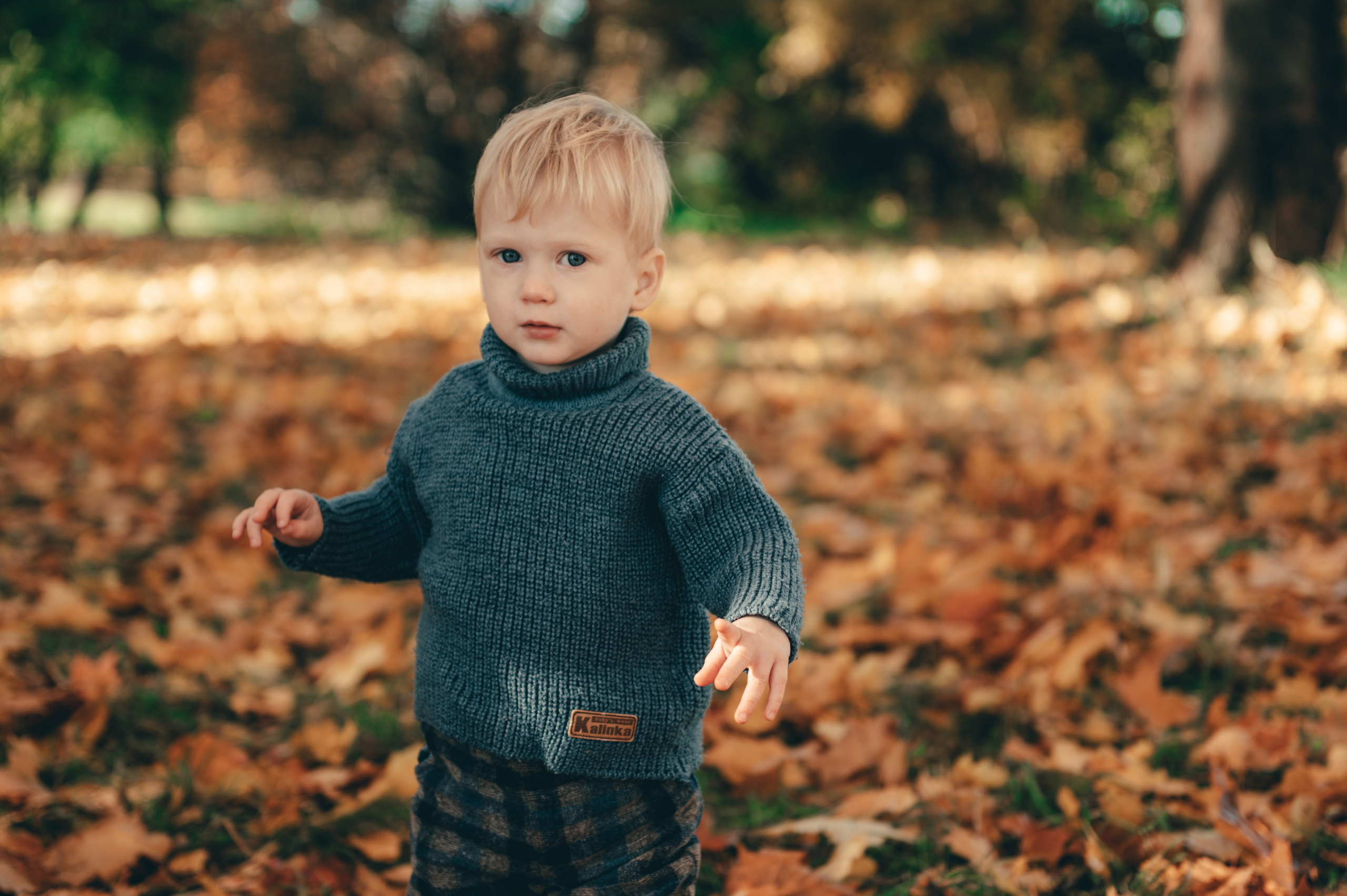 Желто-красное настроение. Свадебный и семейный фотограф София Невская