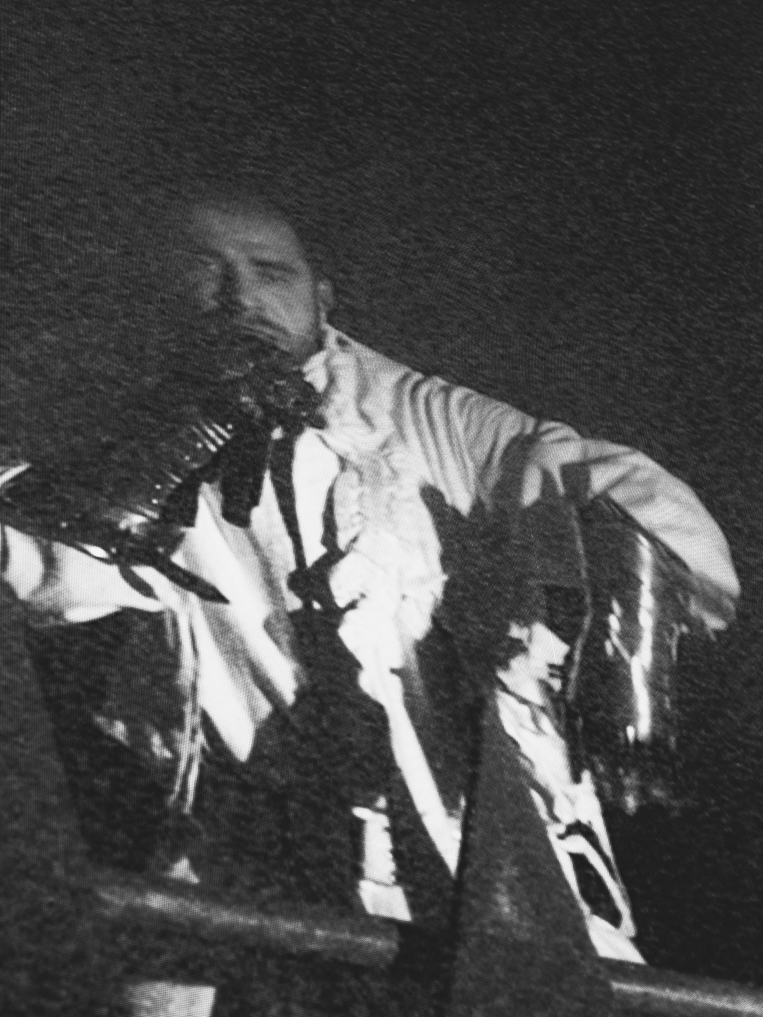 Хаски’25 «Партизан» Saint-Petersburg. RUSLAN ROZANOV