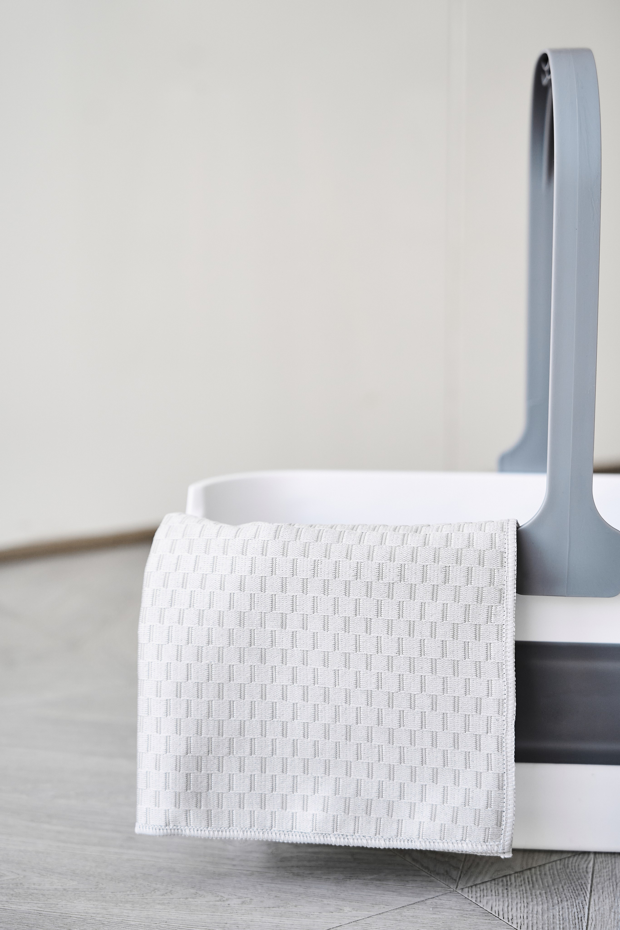 White cat. Фотограф в Москве Казакова Анна