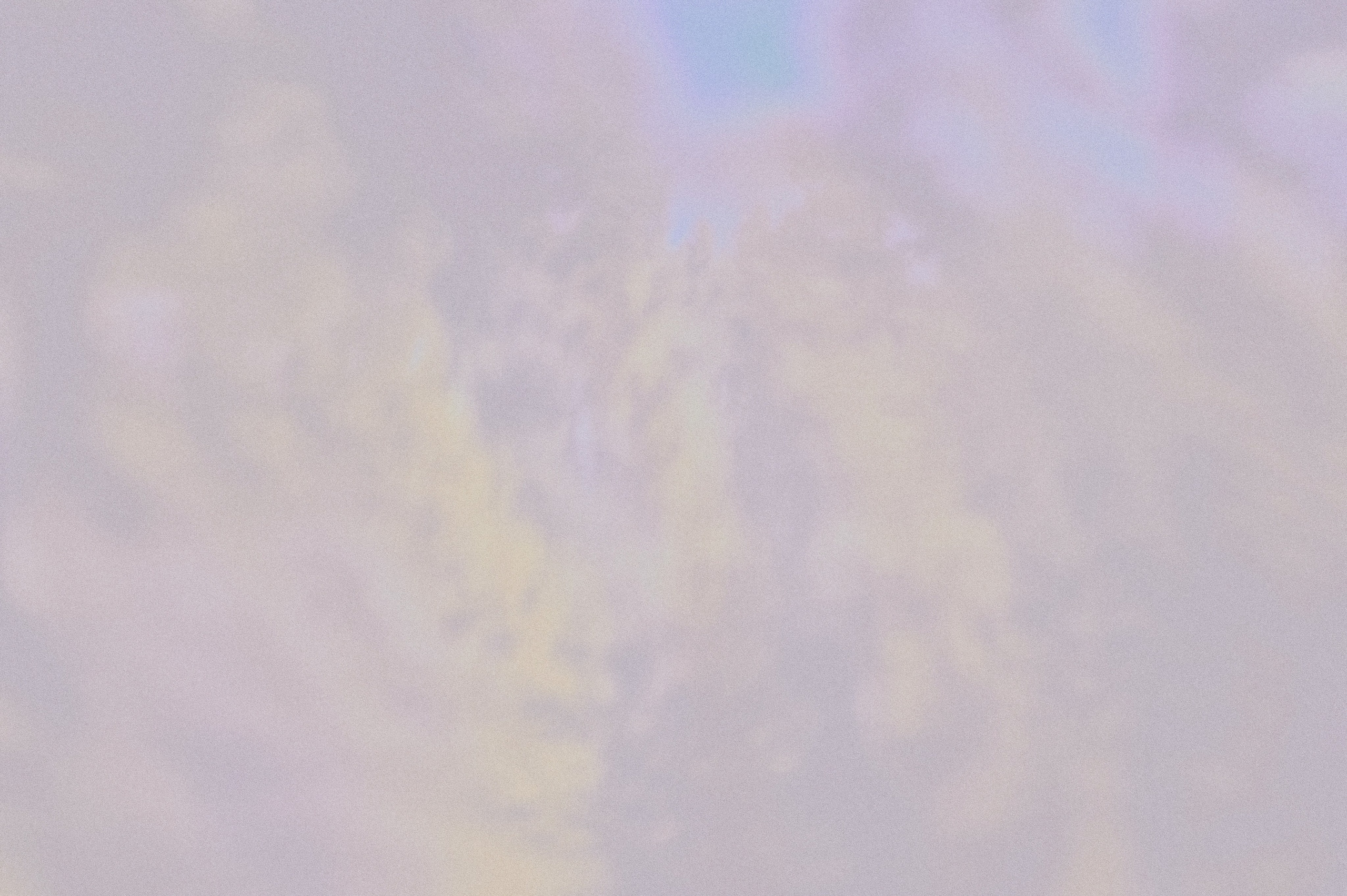 Negative Colors. Художественный фотограф в Москве Алексей Сутягин