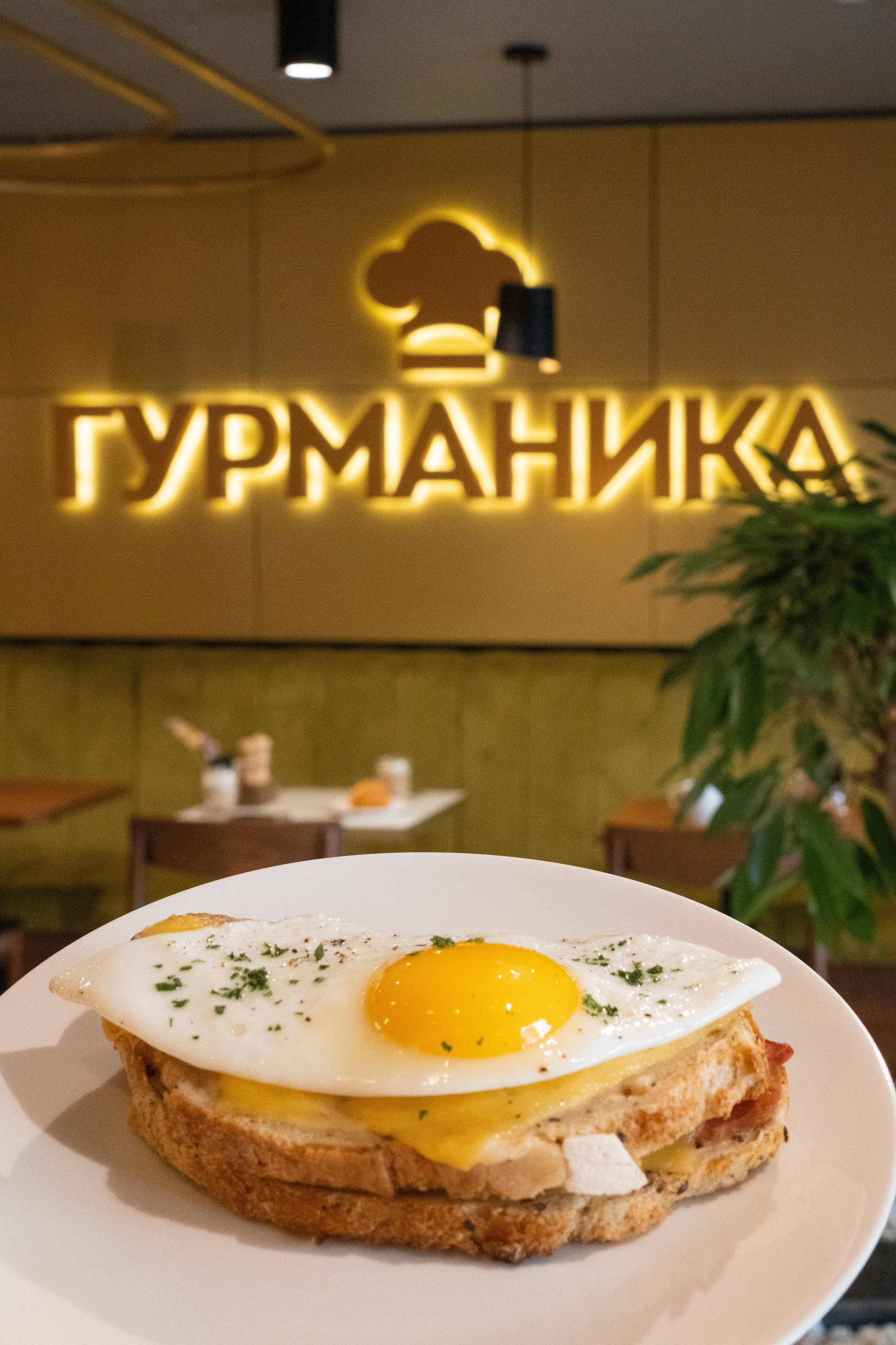 Яичница на фоне вывески кафе "Гурманика"