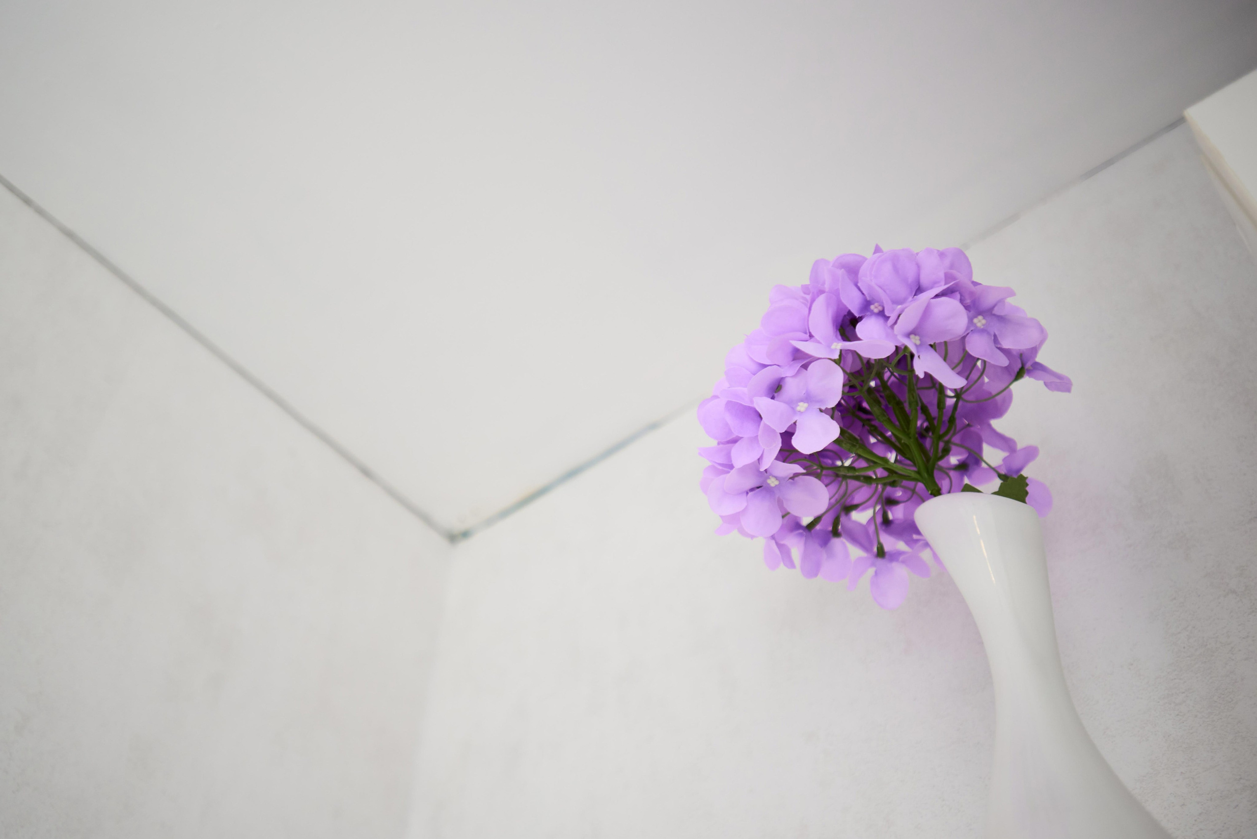 ЖК Минск Мир. Автомобильный и интерьерный фотограф в Минске Александр Тагаев