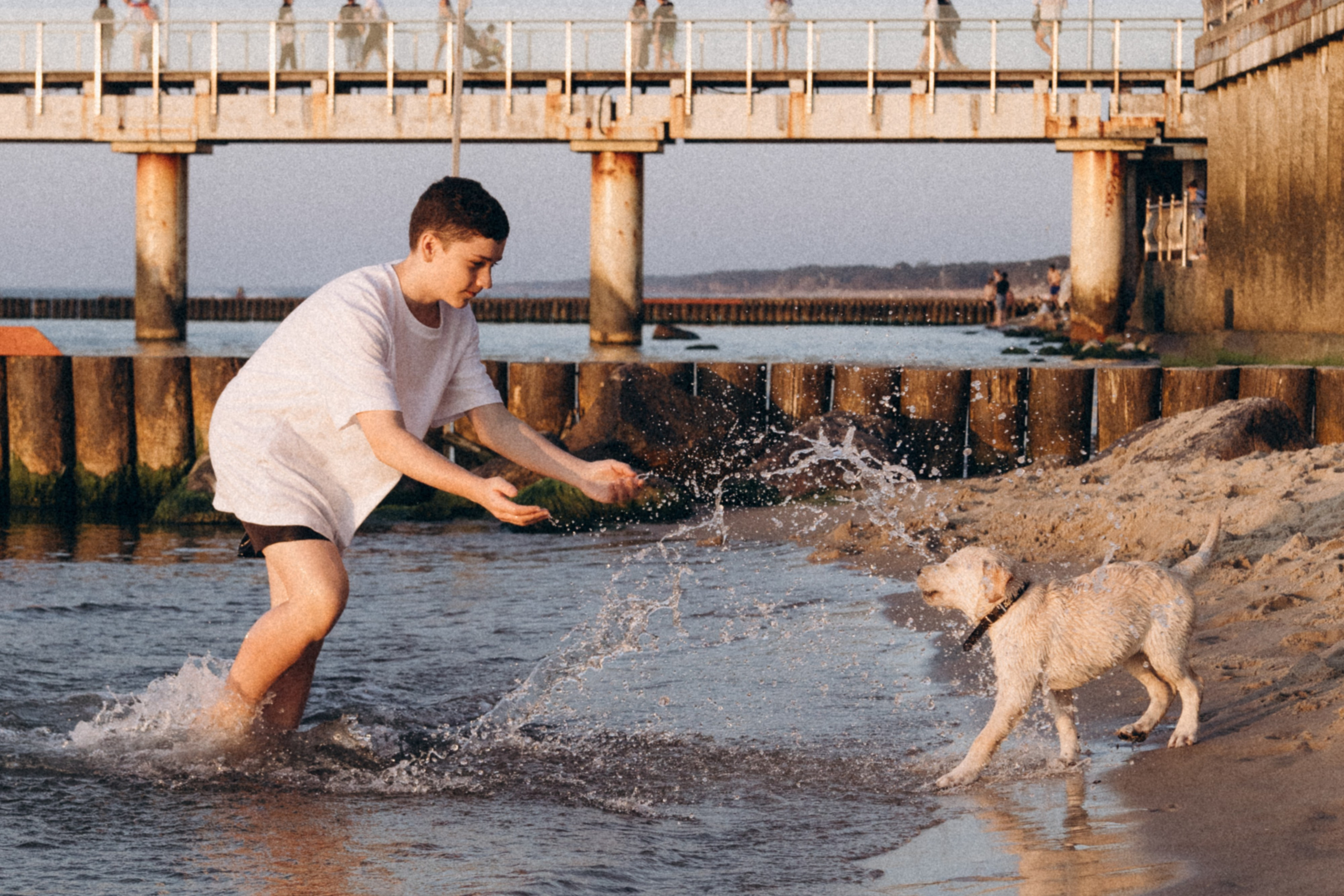 Семейная история с питомцем. Фотограф Ольга Кудрявцева. Профессиональная фотосъёмка в Калининграде