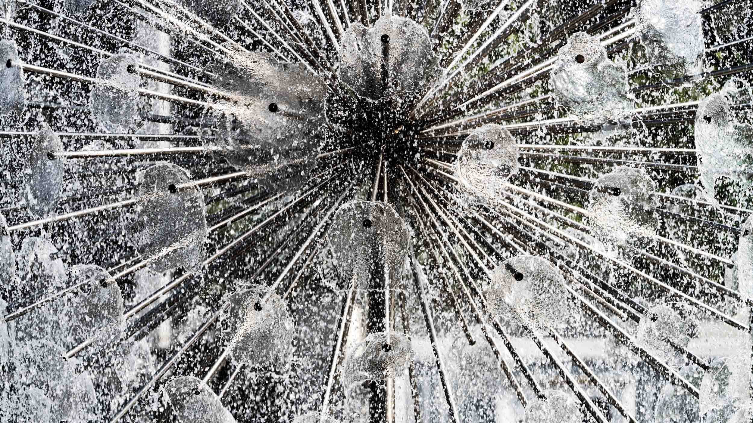 Saint Petersburg. The Andris