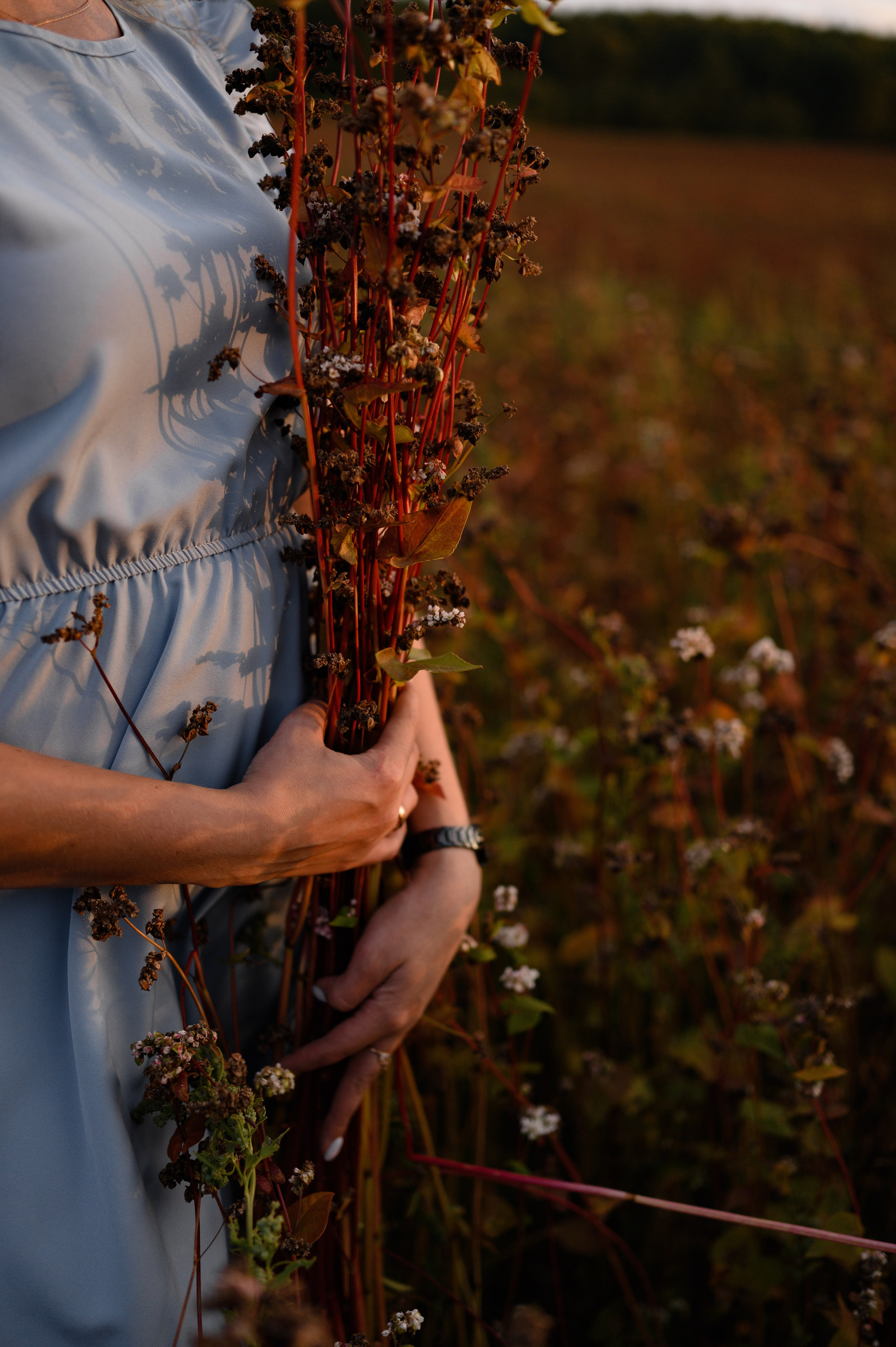 Наталья. Свадебный и Семейный фотограф в Абакане, Красноярске