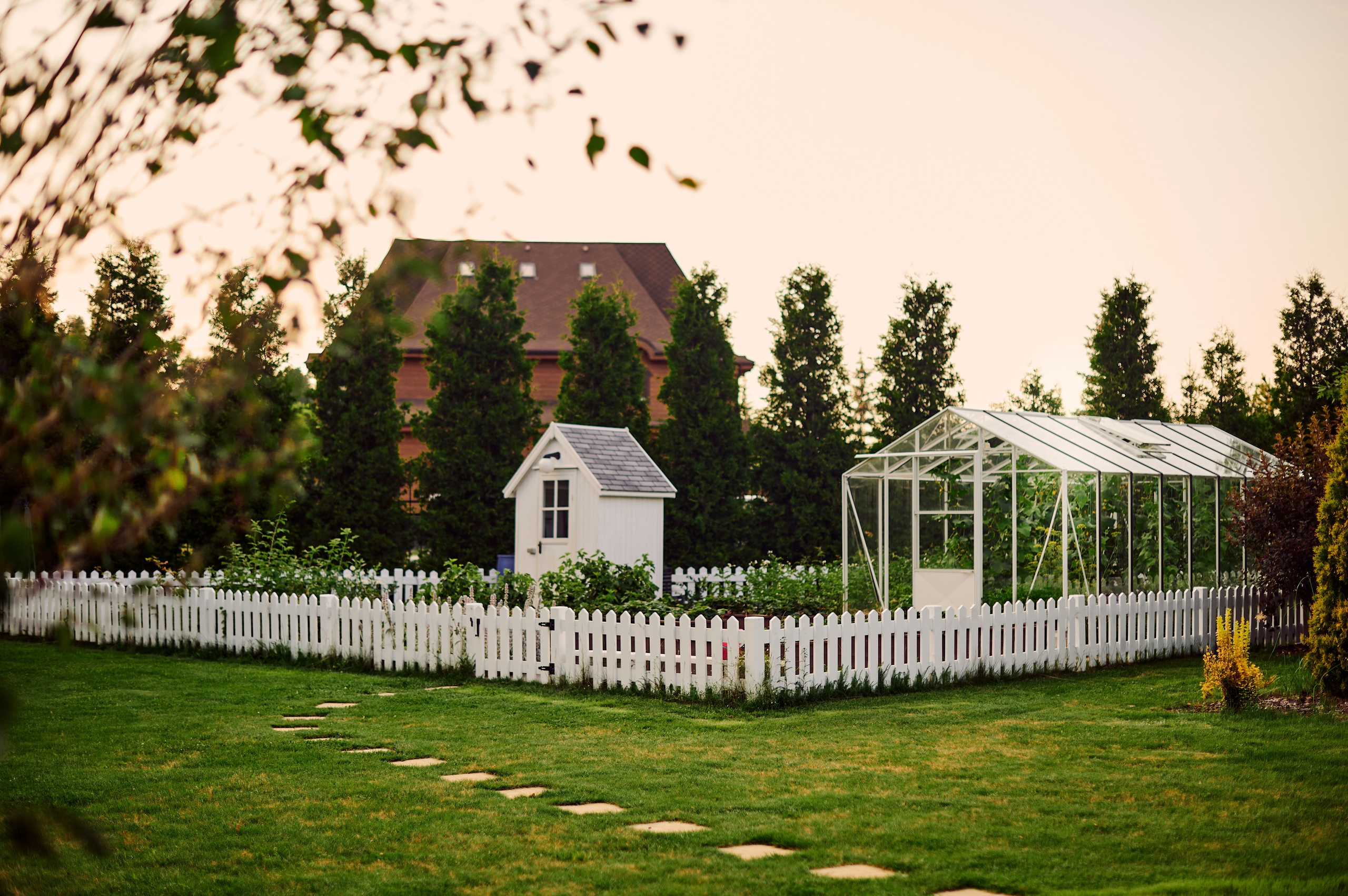 ОГУРЦЫ, ТЕПЛИЦА, САД :). Свадебный и семейный фотограф РИТА БОЧКАРЁВА