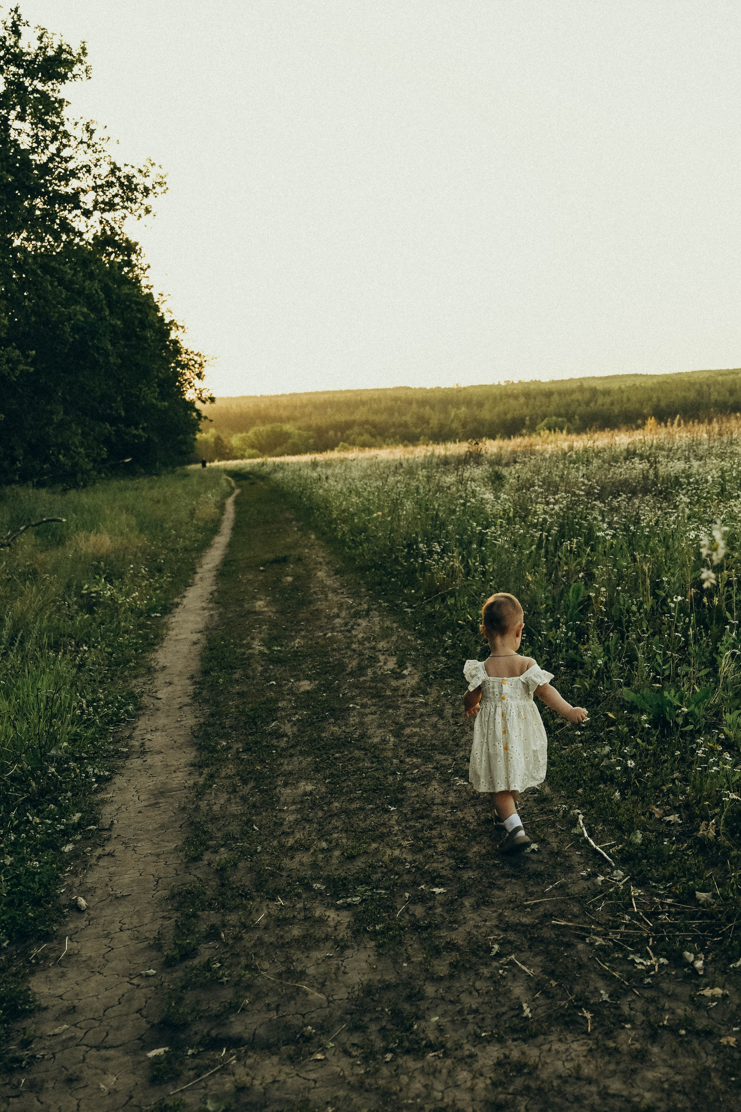 Ромашковое поле. Семейный фотограф в Москве Люберцах Ирина Вронская