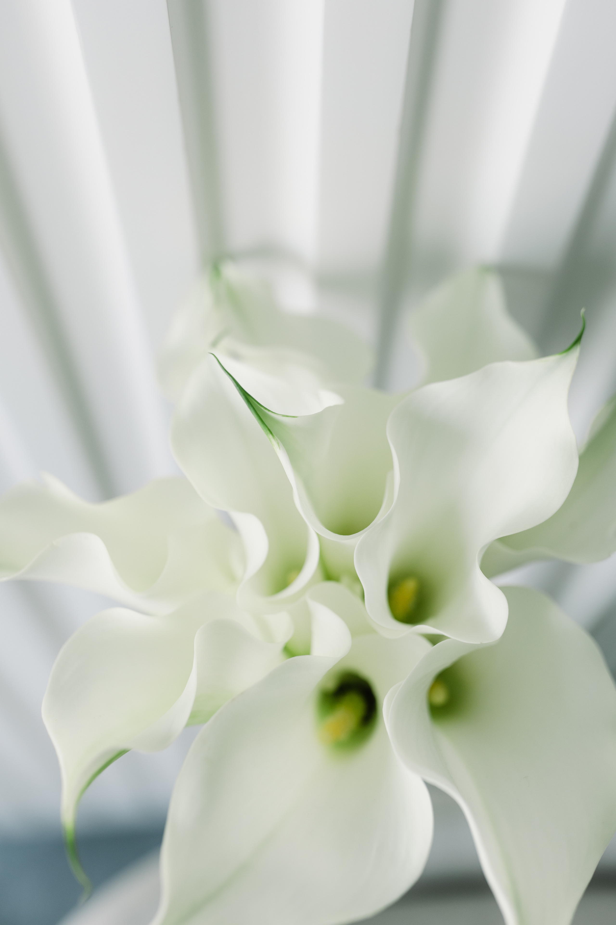 Maxim & Maria 2021 Moscow. Wedding and family photographer in Moscow