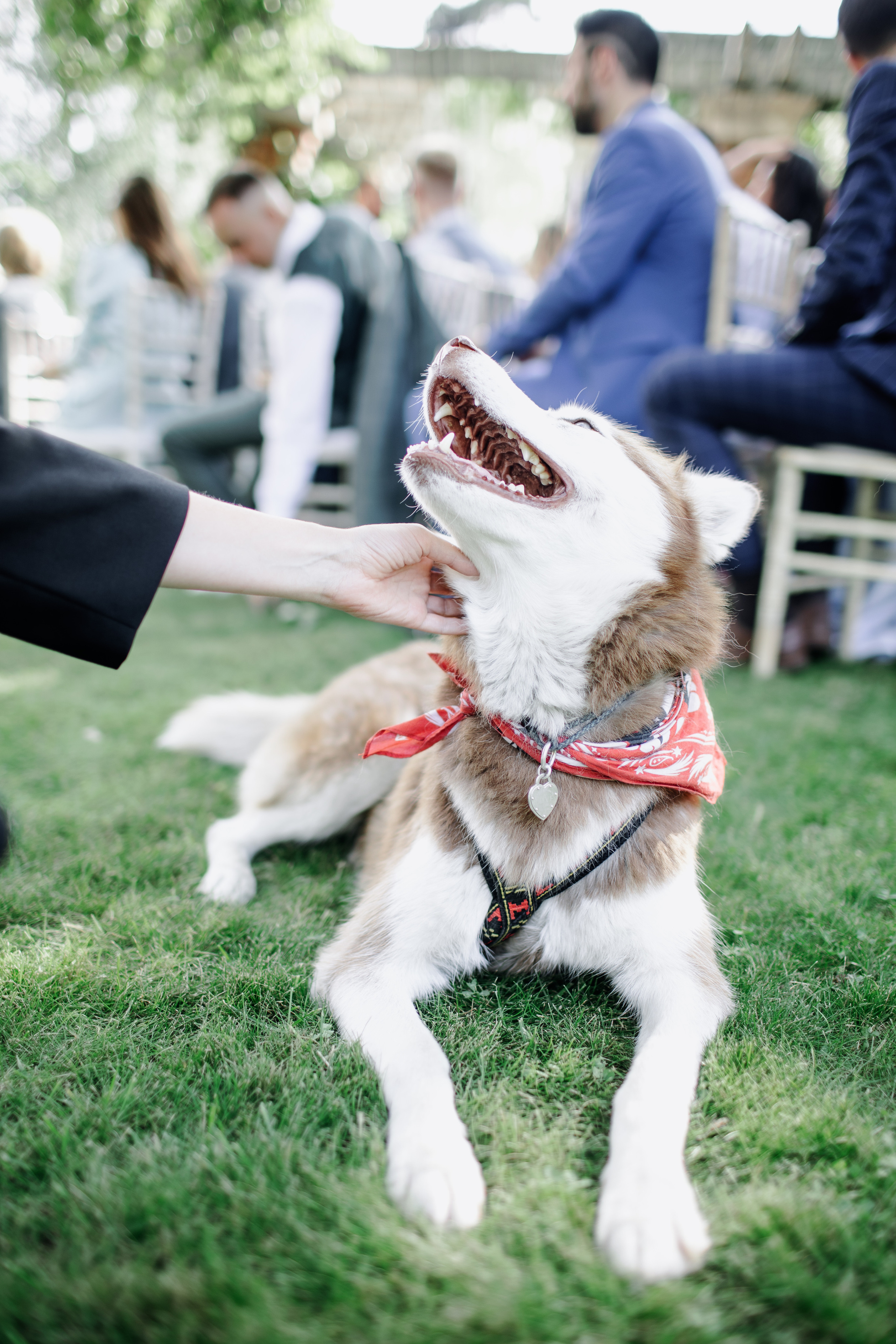 Damir & Kristina 2021 Moscow. Свадебный и семейный фотограф в Москве