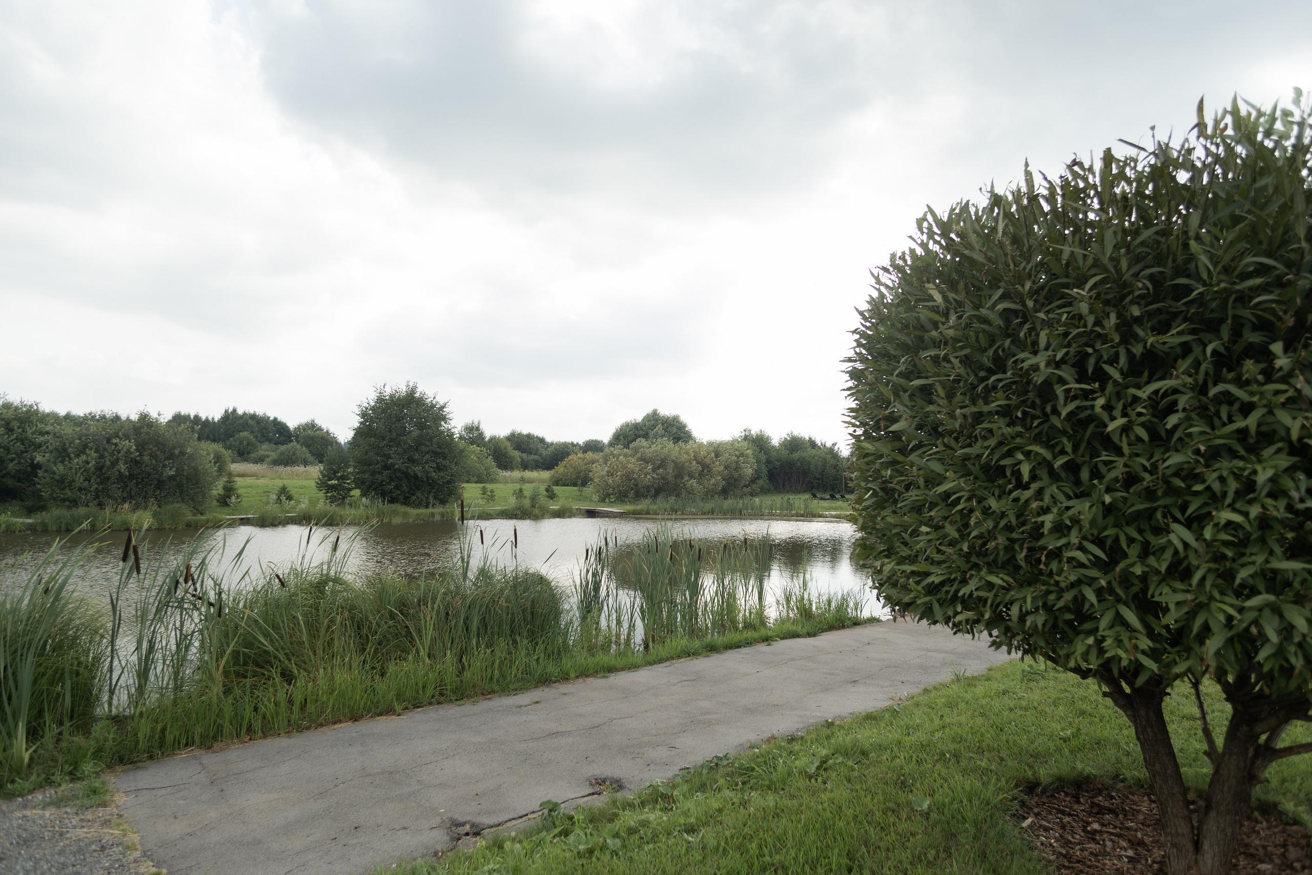 Настя и Данил. Свадебный и семейный фотограф в Перми Дергачева Кристина