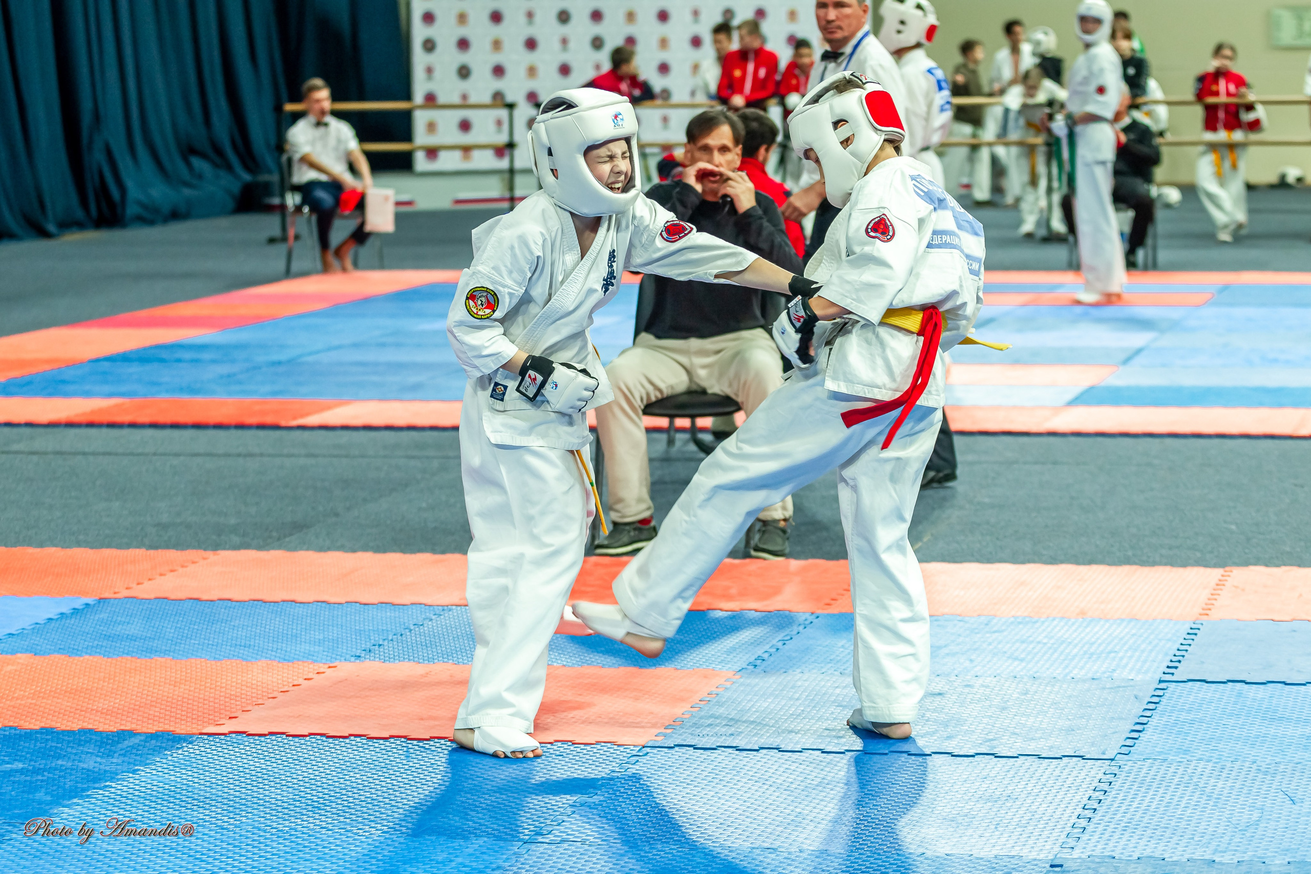 Первенство Московской области по Киокушин в СК «Жаворонки». Репортажная съемка в Москве и области. Анималистика