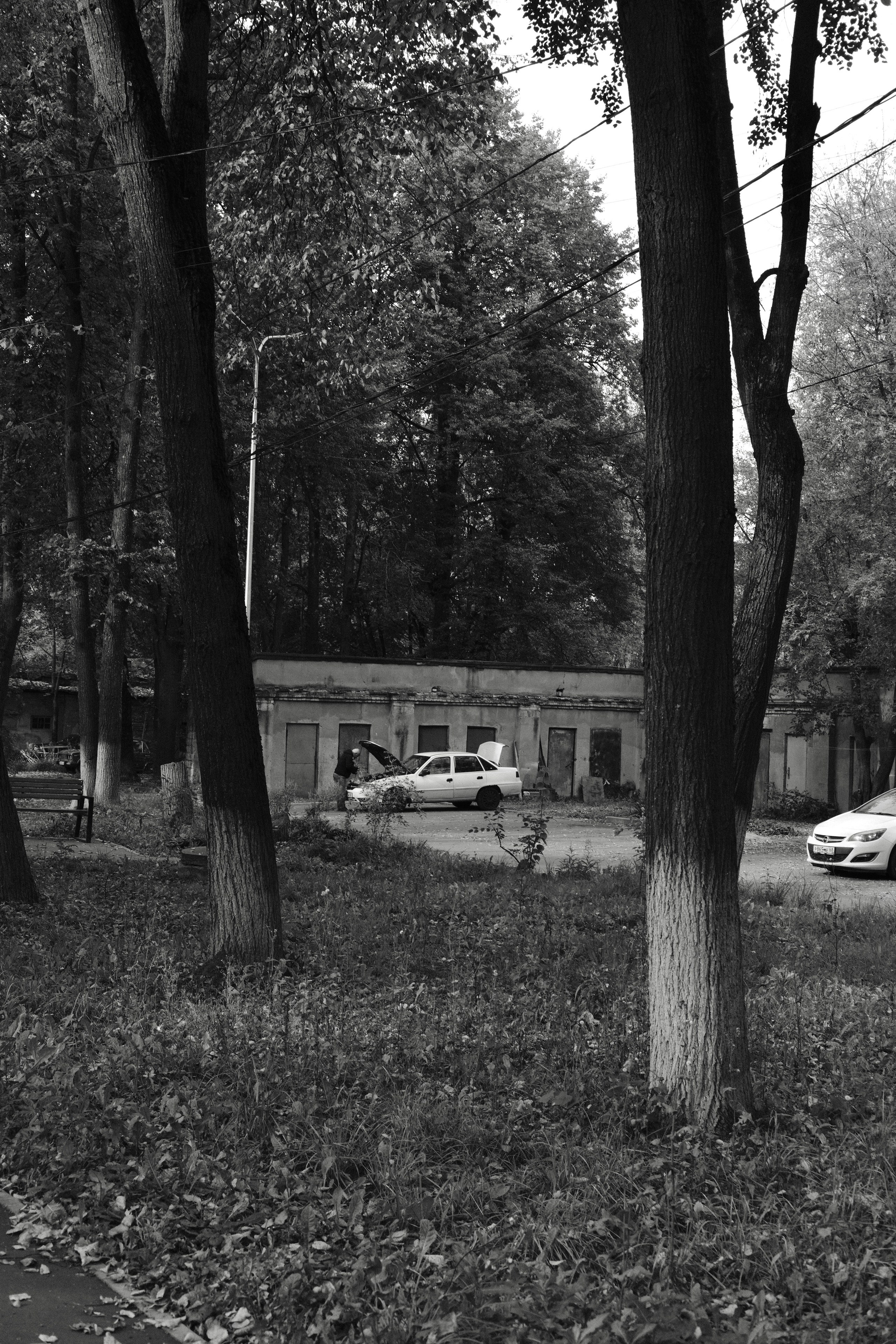 Чехов-Серпухов. Фотограф Маргана Лоция