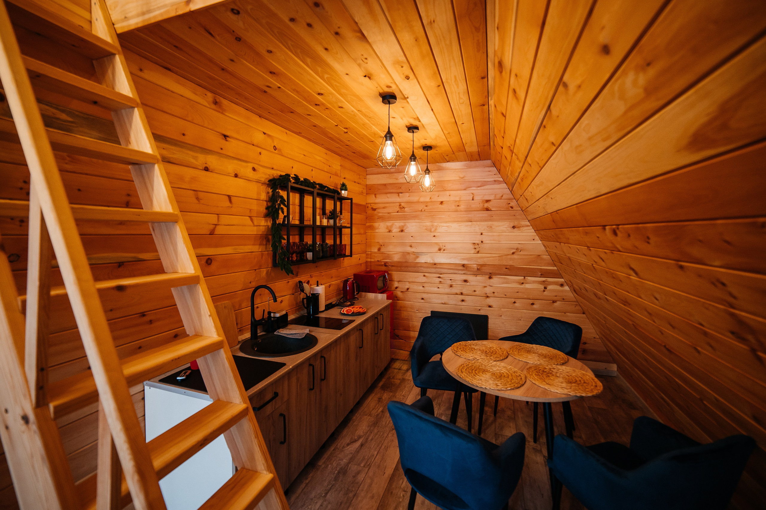 База «Сибирика». Свадебная  съемка на Алтае