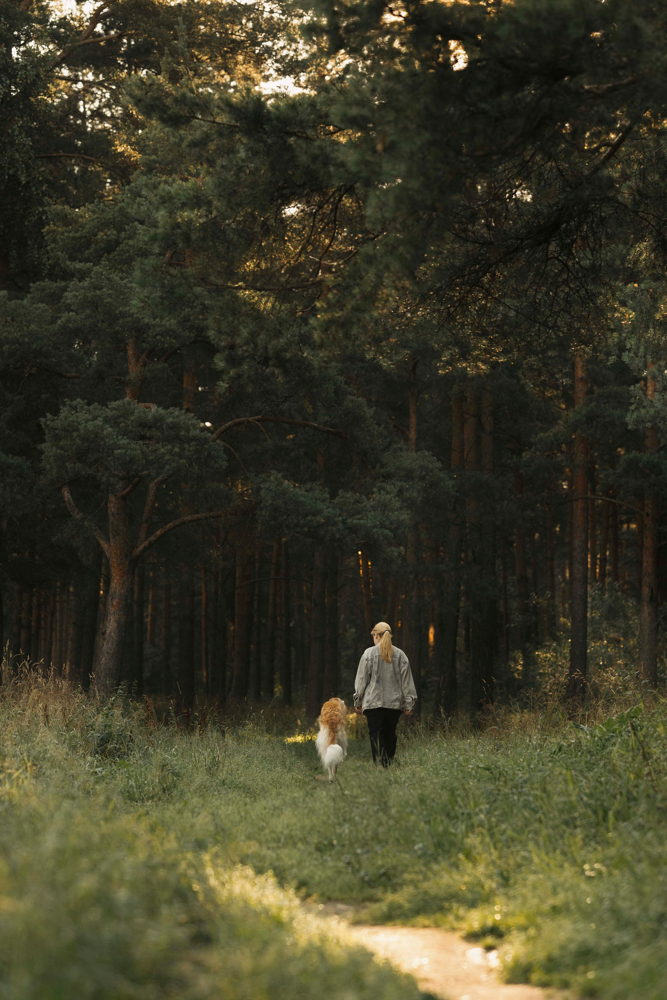 Тайга. Фотограф- анималист Александра Матвеева