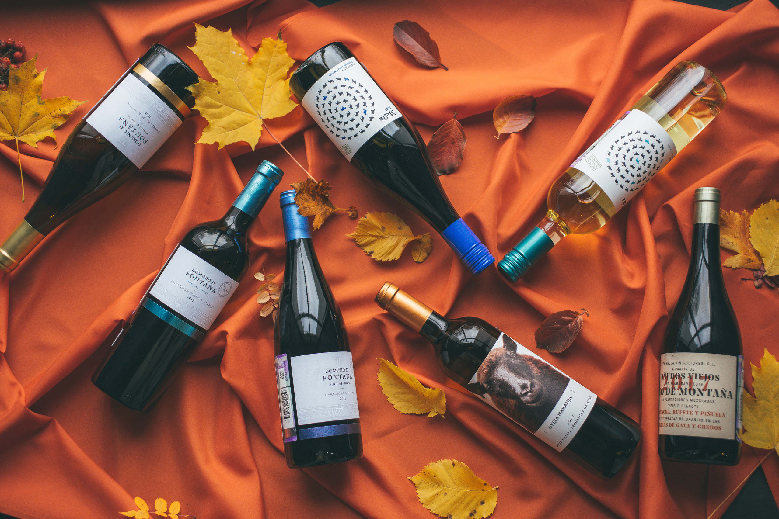 FOOD/WINE. Photo/Video Production