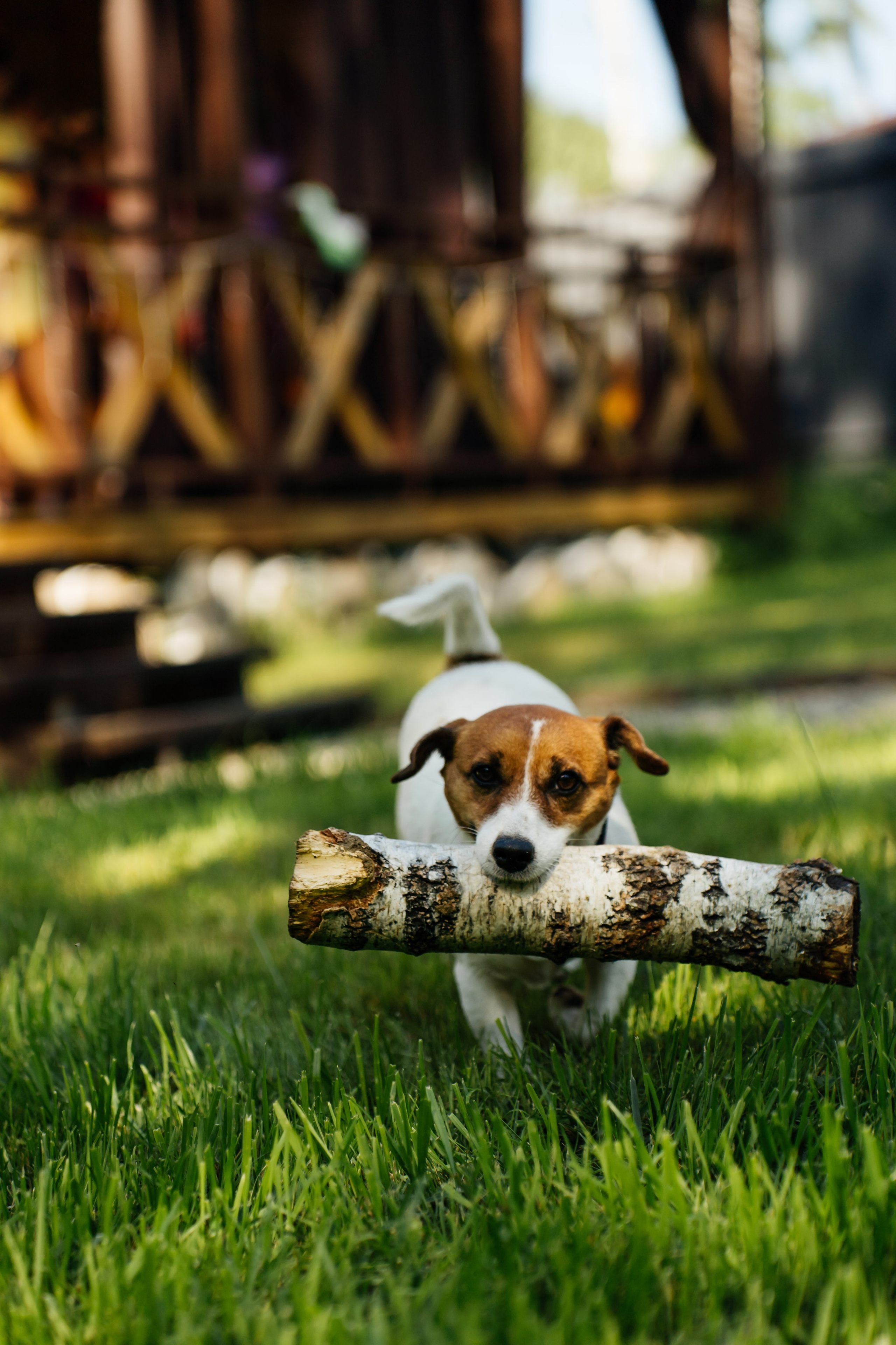 Weekend with friends. Видеограф и Фотограф в Челябинске Ксения и Владимир Рюмины