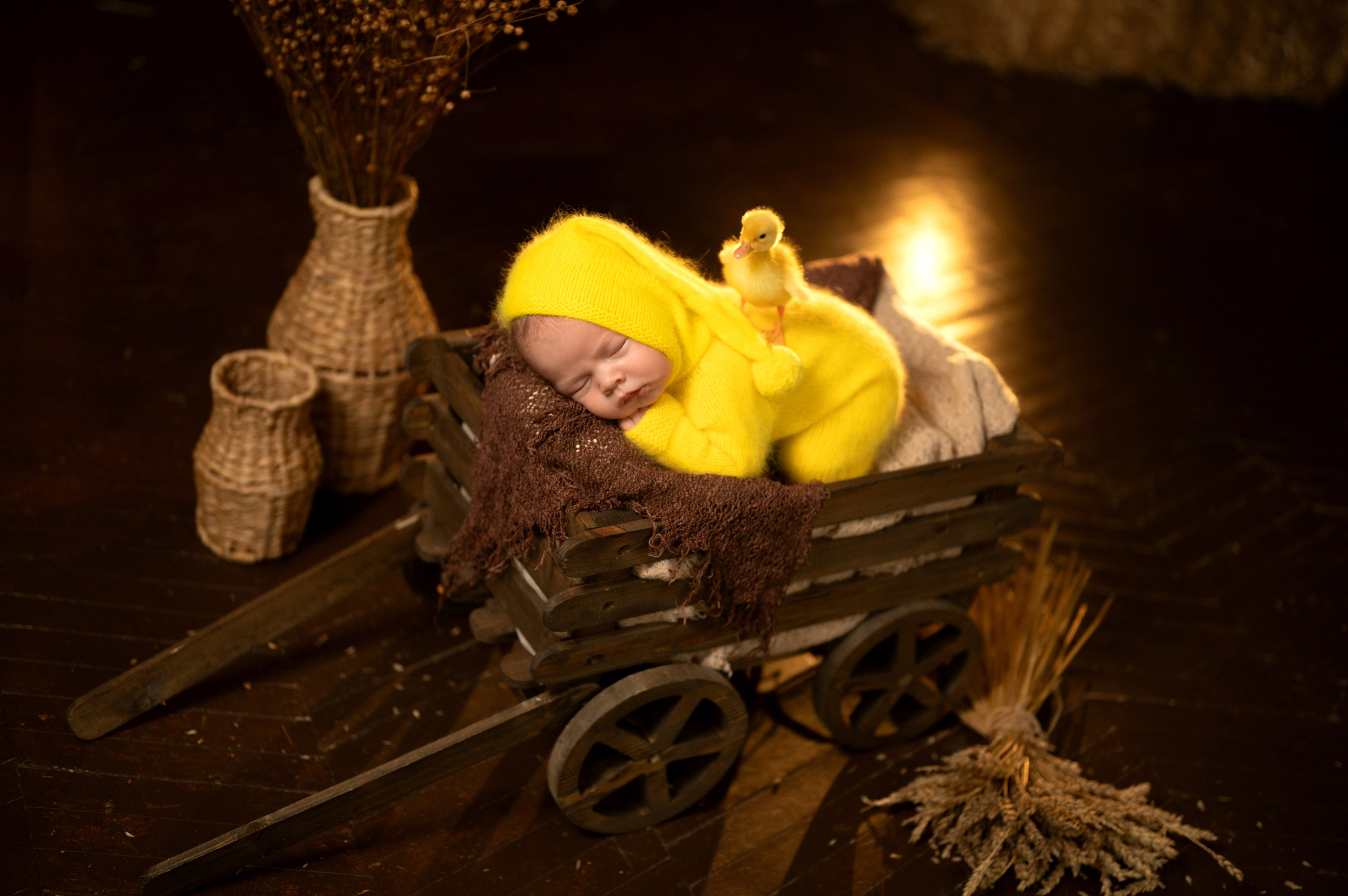 Павлуша и утята. Фотограф новорожденных, семейный детский в Тюмени Татьяна Морозова