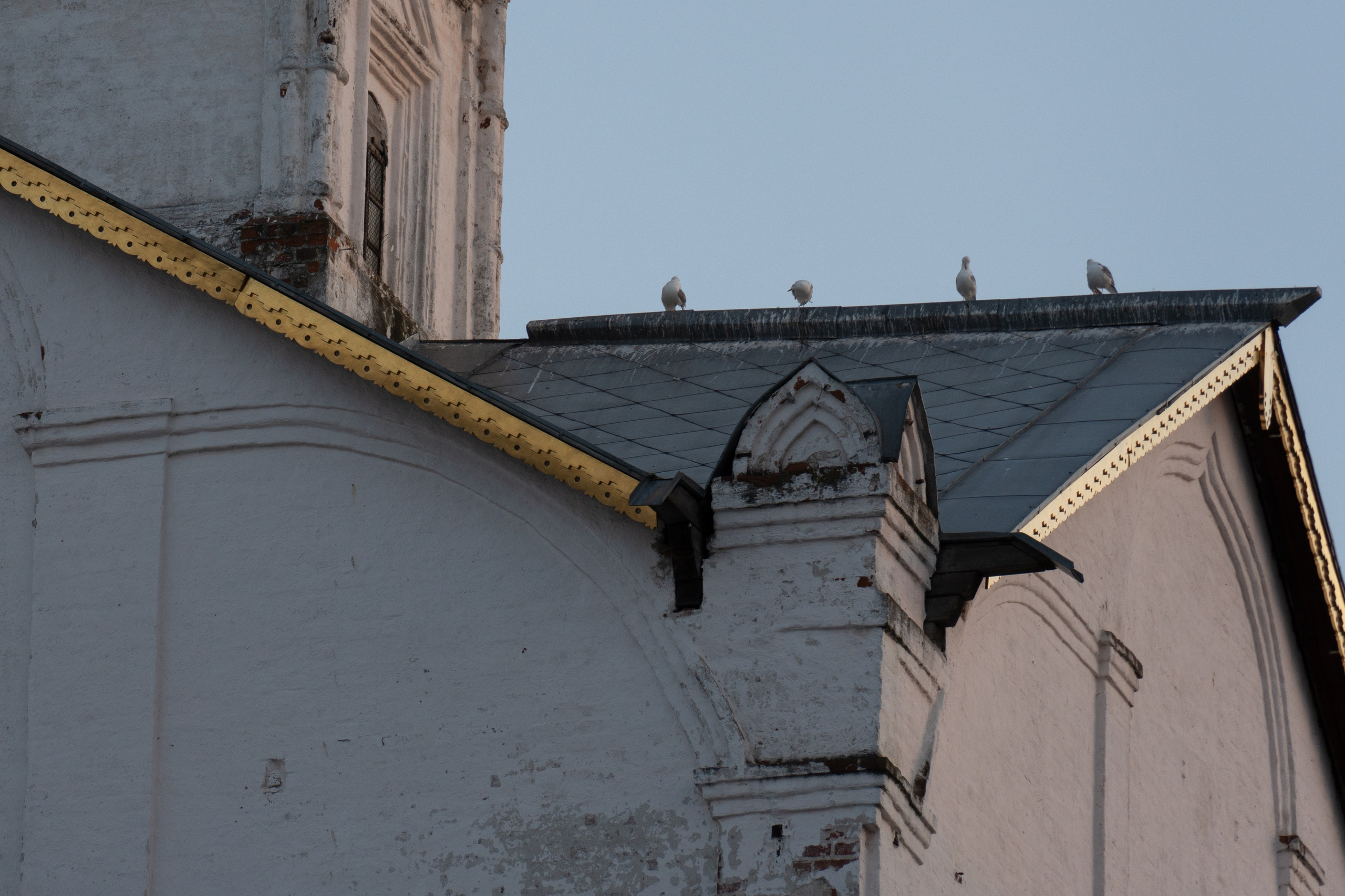 20250729-30 Ростов. Дмитрий Ремизов. Фотография, как хобби