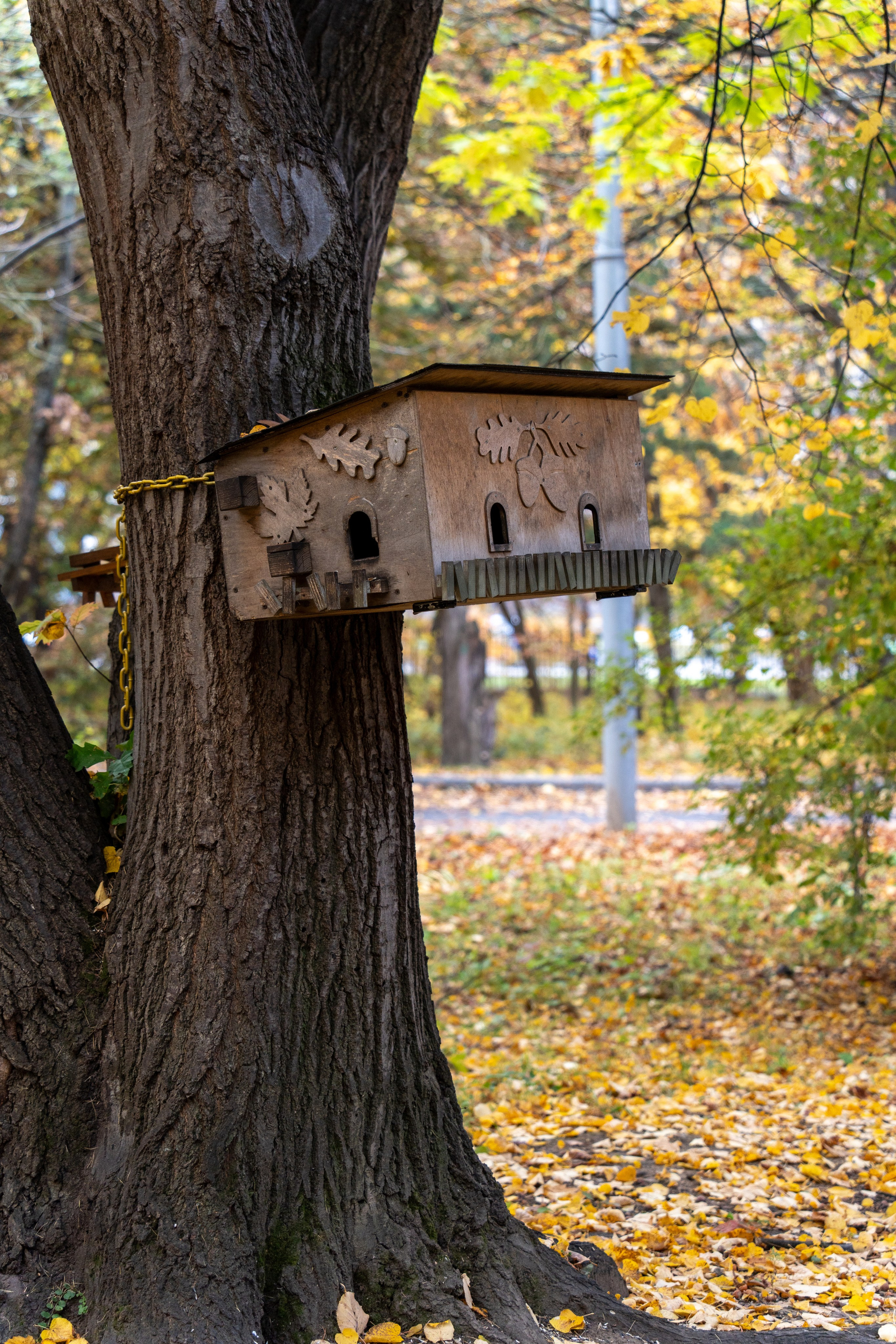 20251012 МГУ. Дмитрий Ремизов. Фотография, как хобби