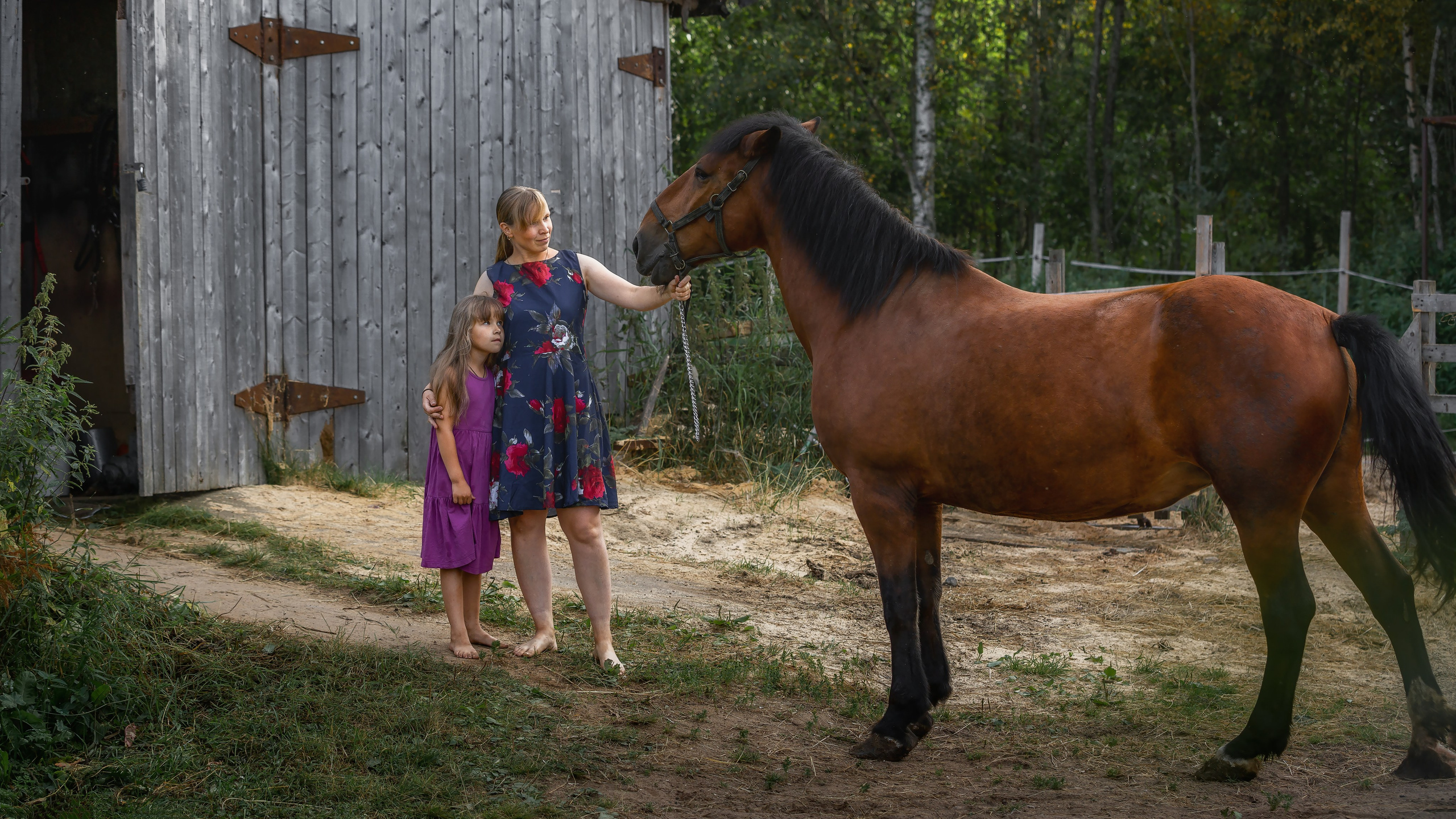 Мечта. Фотограф — путешественник Светлана Романовская