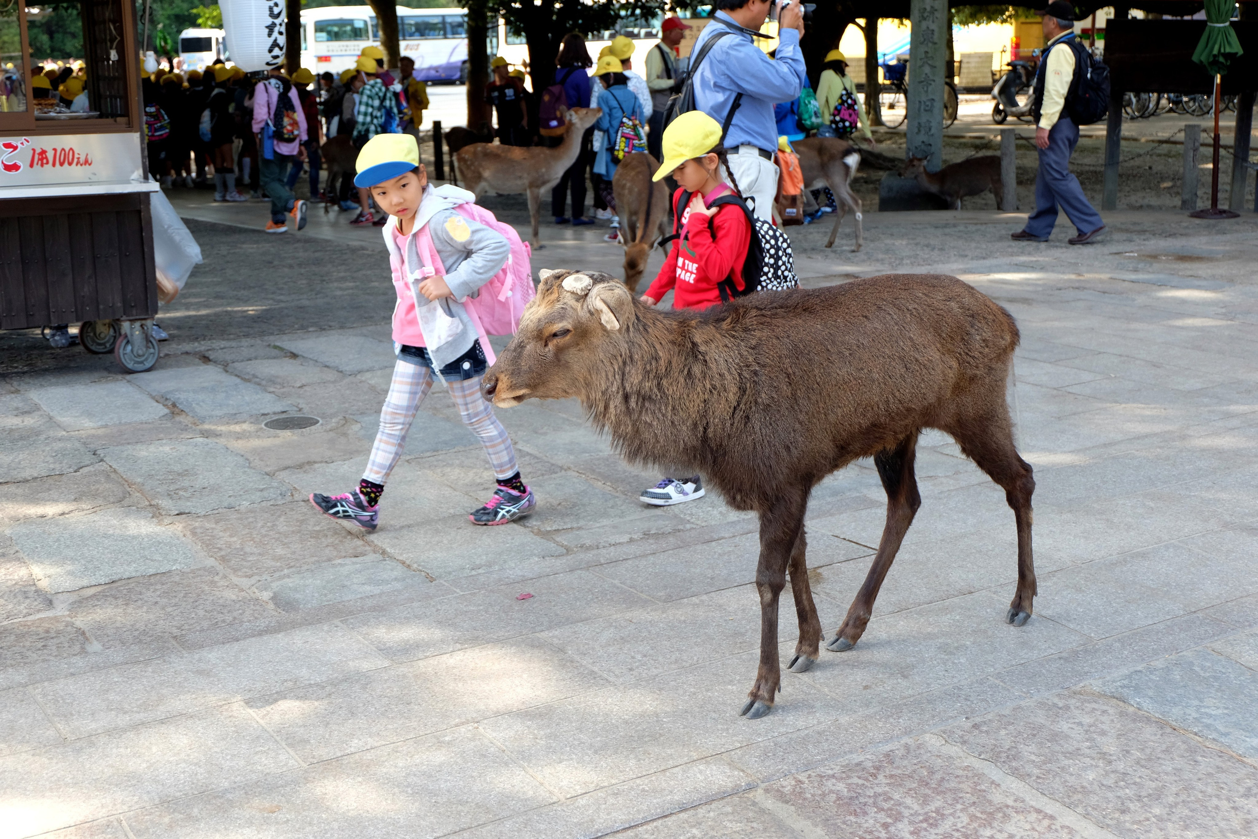 СТРИТ / ТРЕВЕЛ. Семейный и travel-фотограф из Израиля
