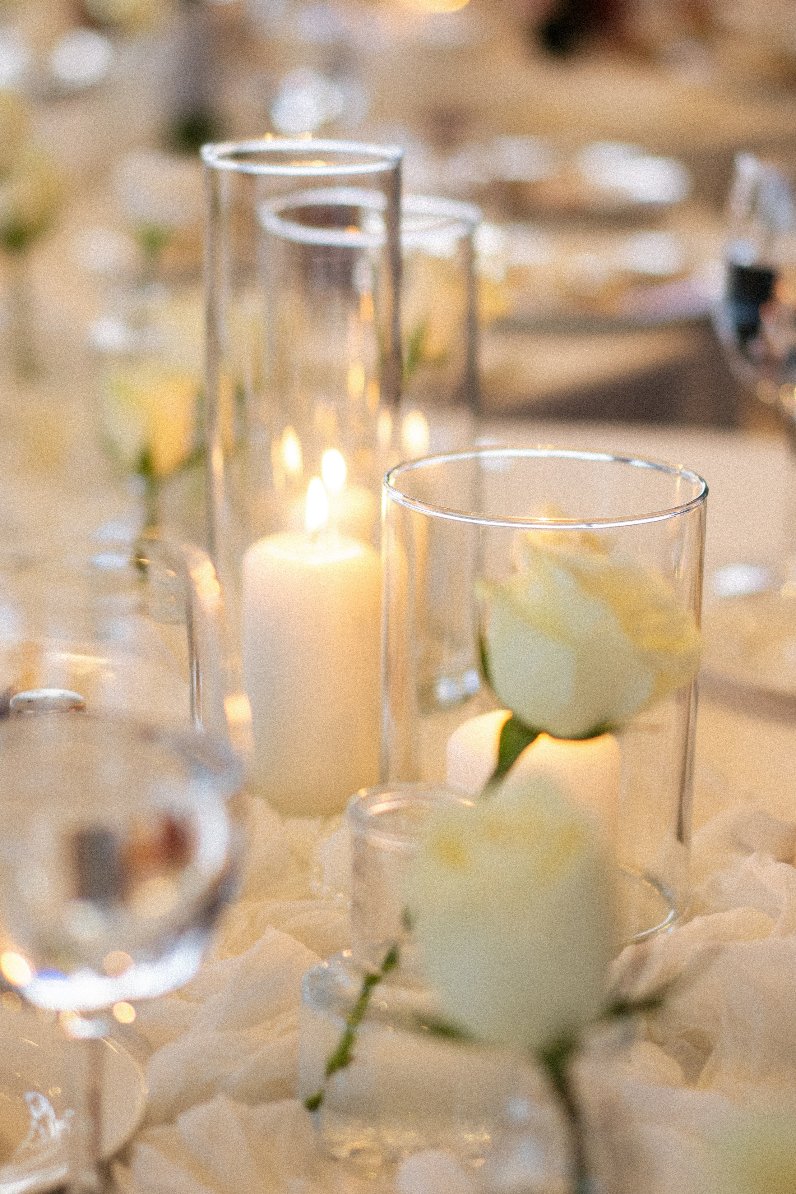 Даниэль и Виктория. Wedding and family photographer