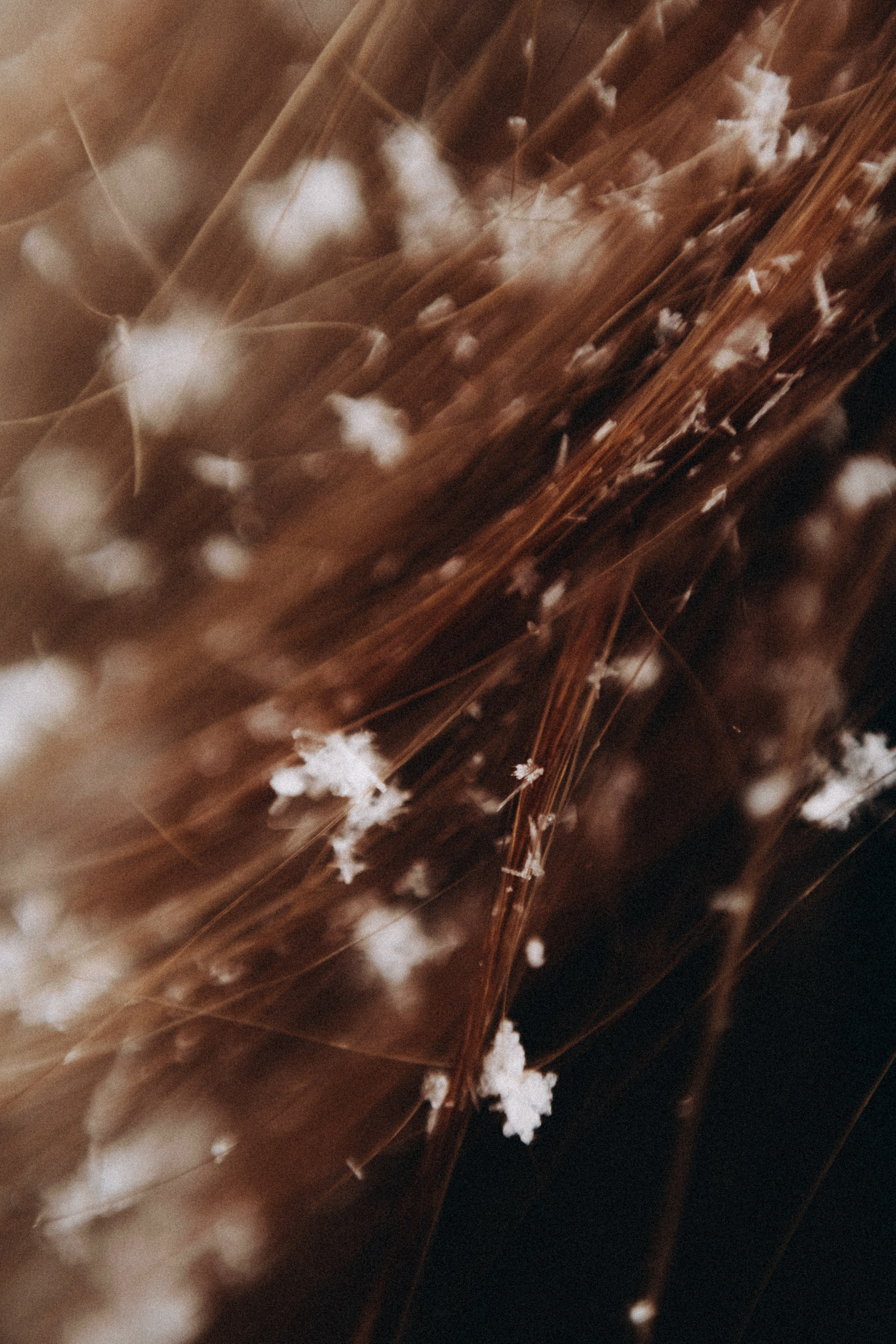 Женский портрет в снегопад