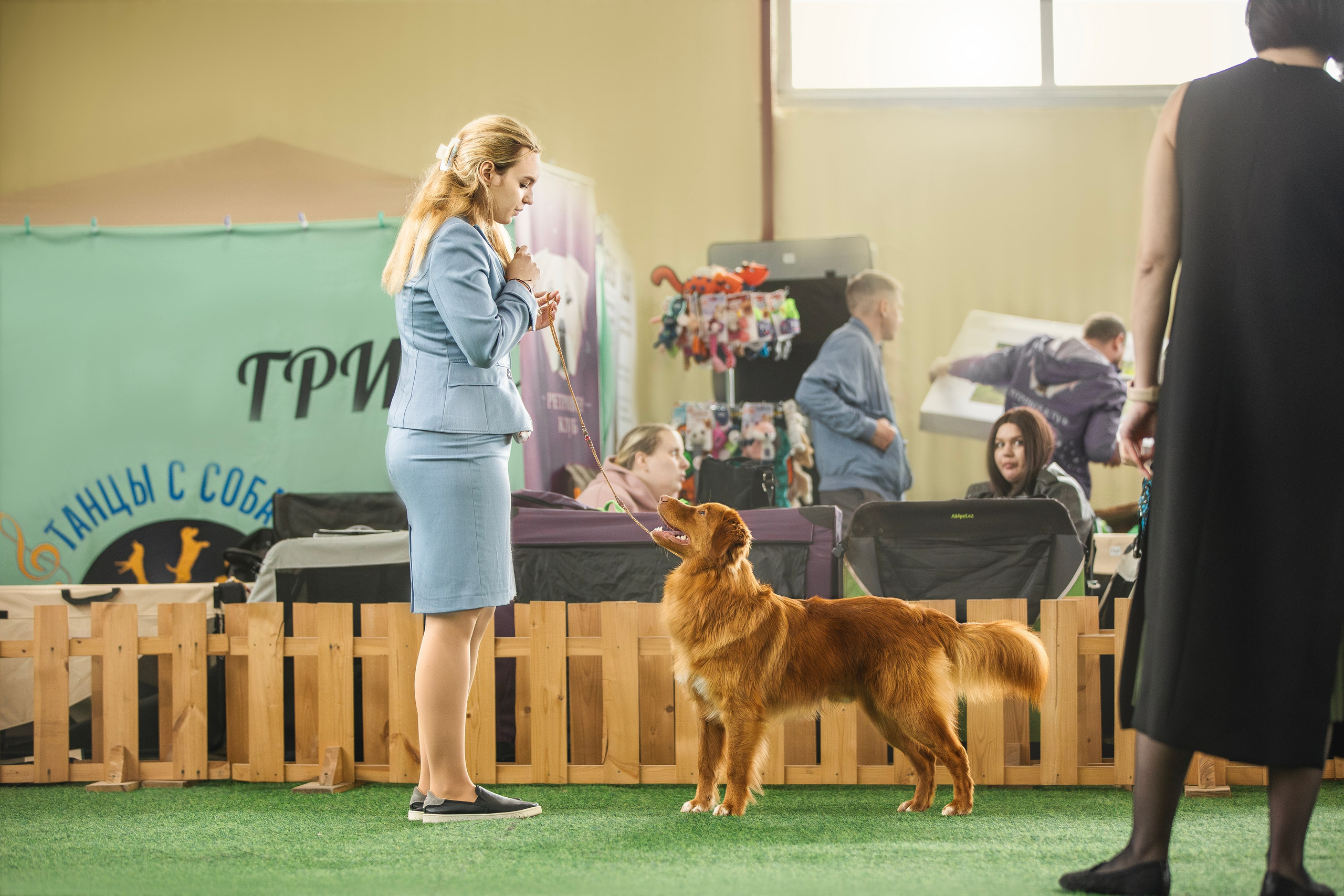 Толлер Орландо (Выставка). Фотограф анималист в Москве Майорова Евгения