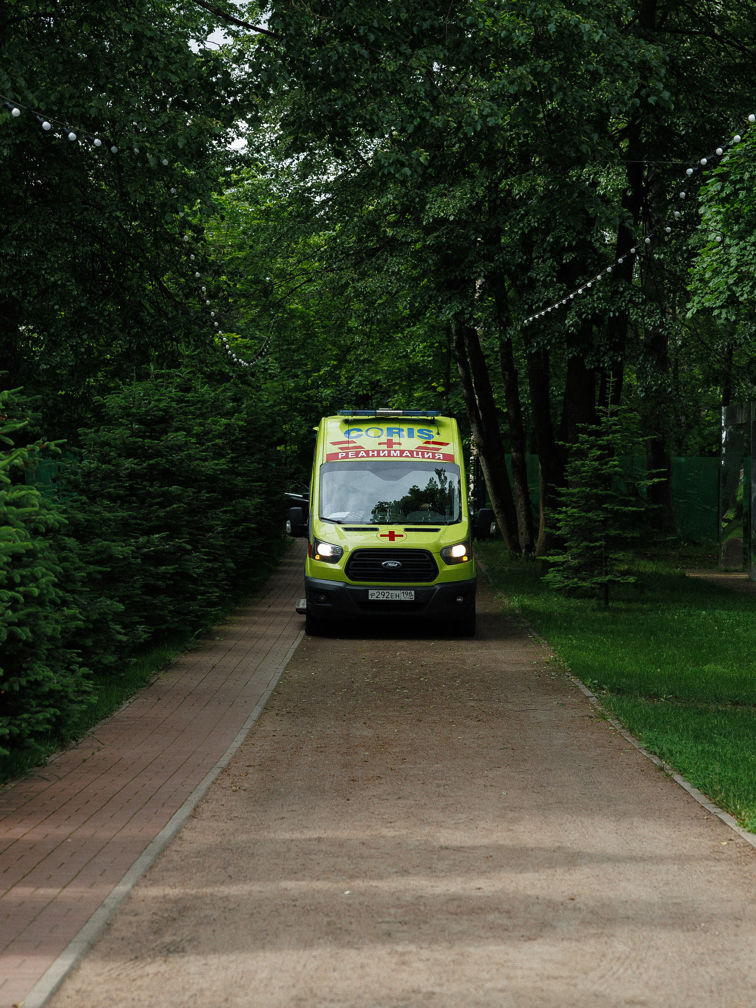 Павел и Анастасия. Свадебное агентство Amorewed Agency