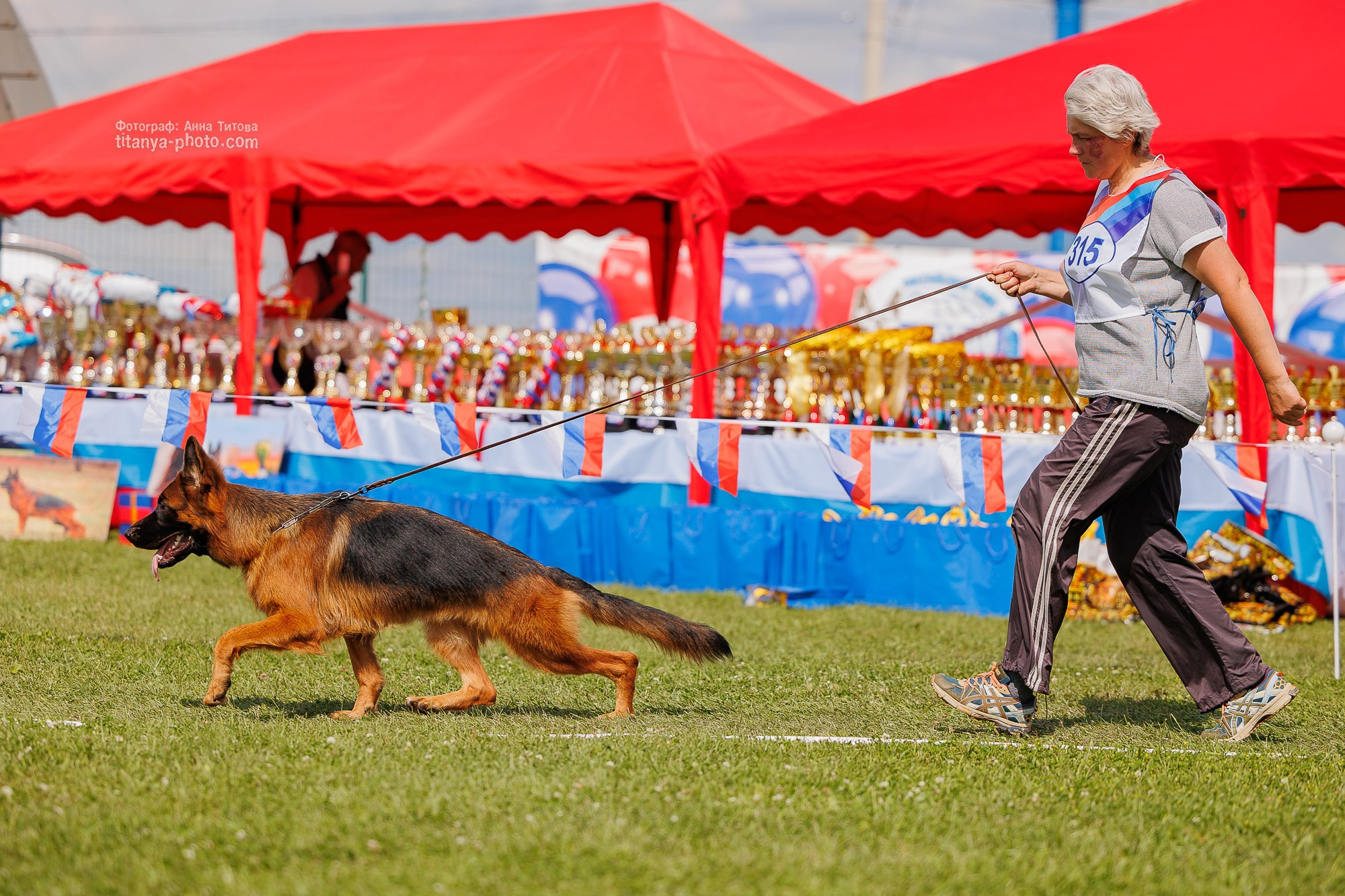 Немецкие овчарки: фото из рингов и вне ринга, мутпроба (фотографии с выставок). Фотограф собак, фотограф-анималист Аня Титова (Titanya). Москва