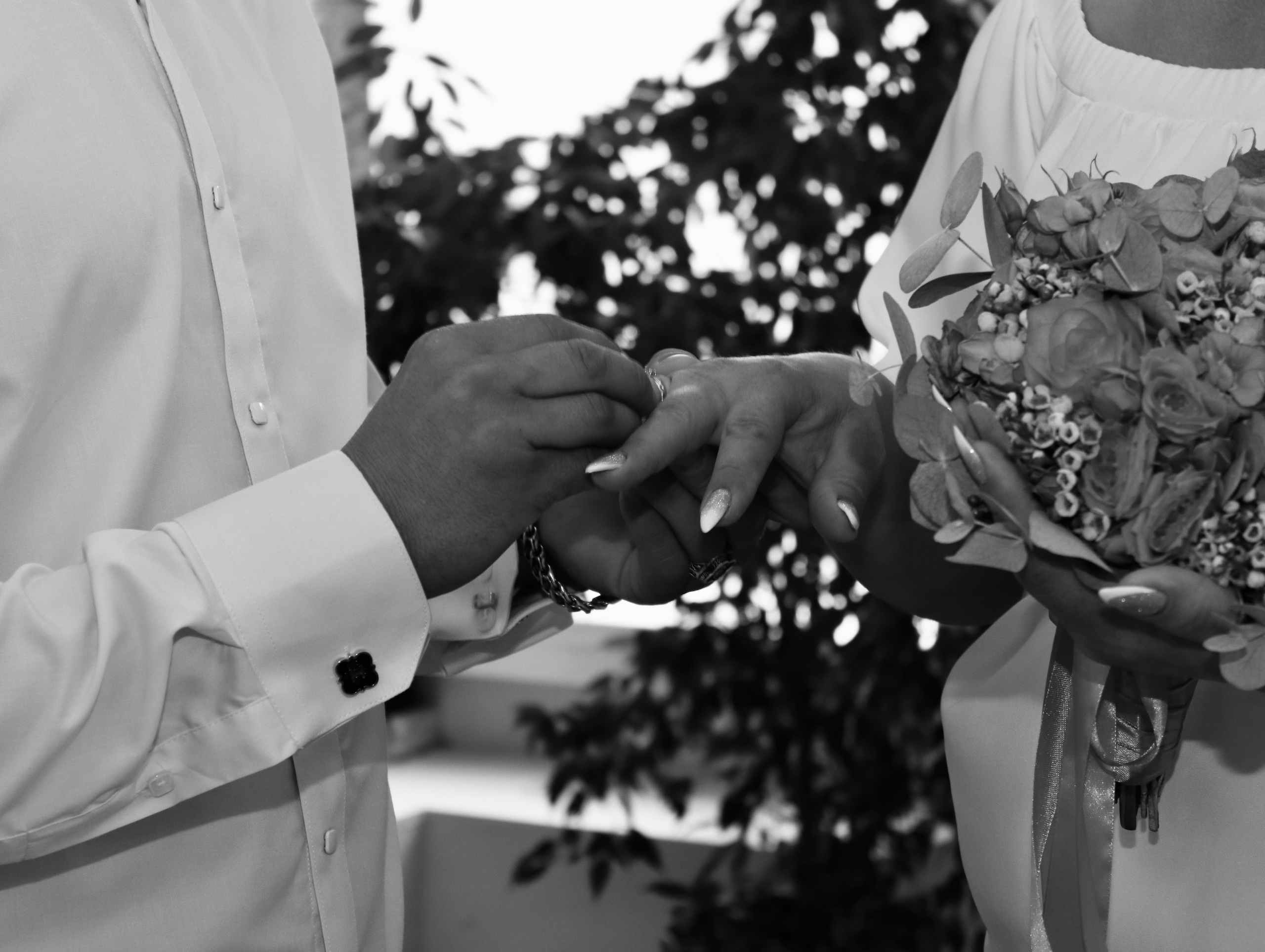 Дмитрий и Наталья. Фотограф в Курске Смирнов Евгений