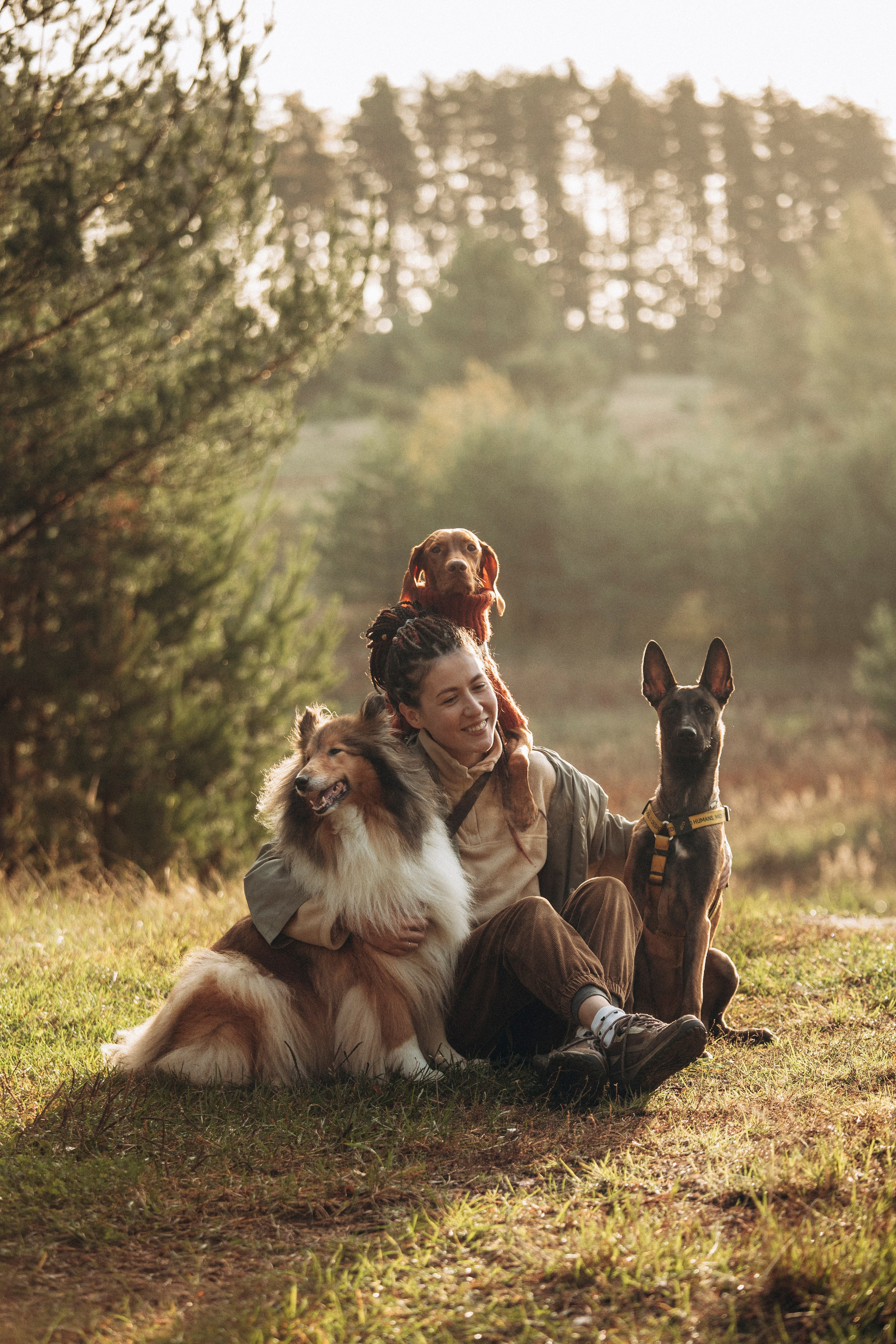 Трисс, Эста, Яся и их семья. Фотограф — Анималист | Санкт-Петербург