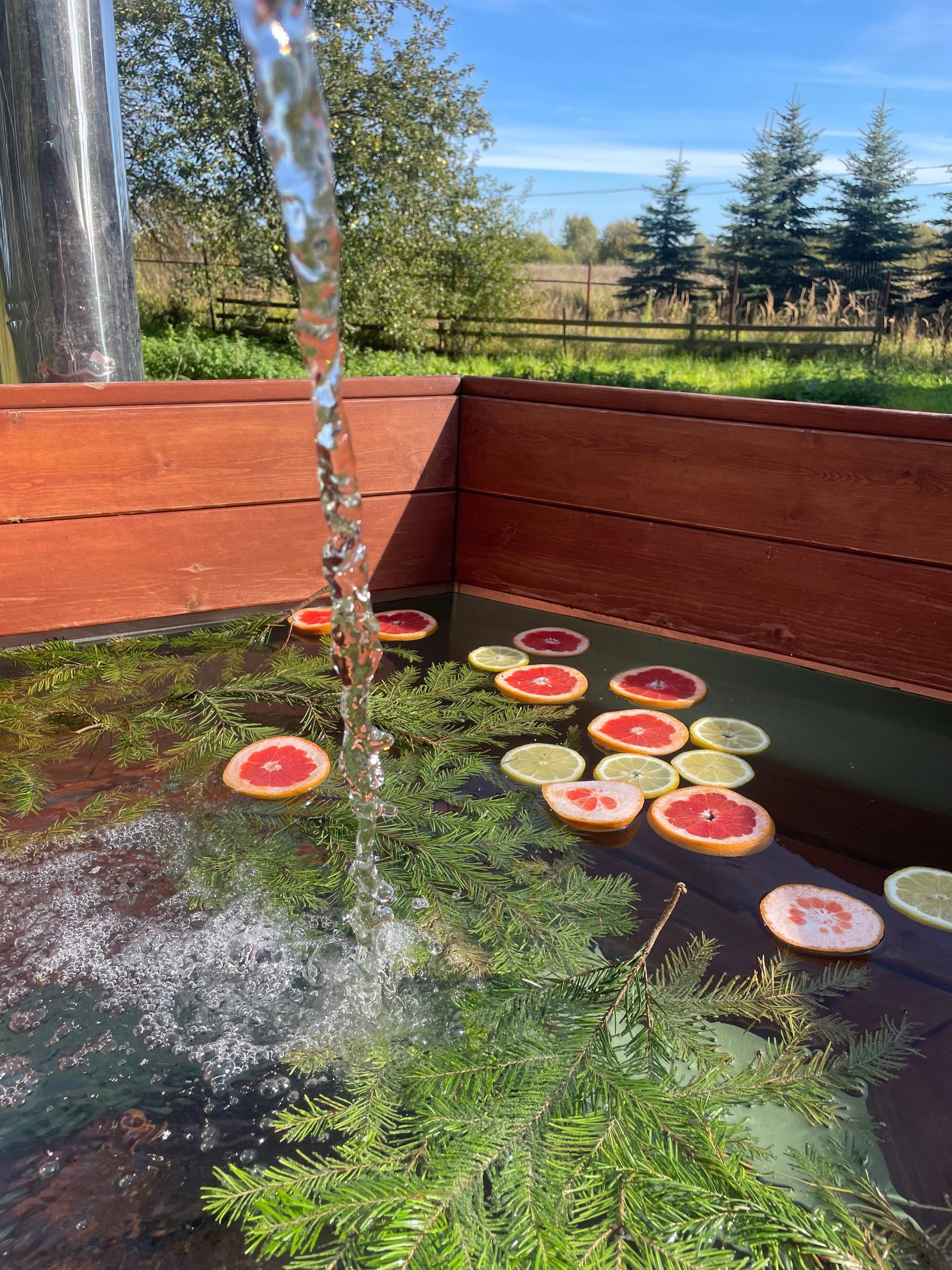 Чан. Организатор загородного отдыха в Переславле Валерия