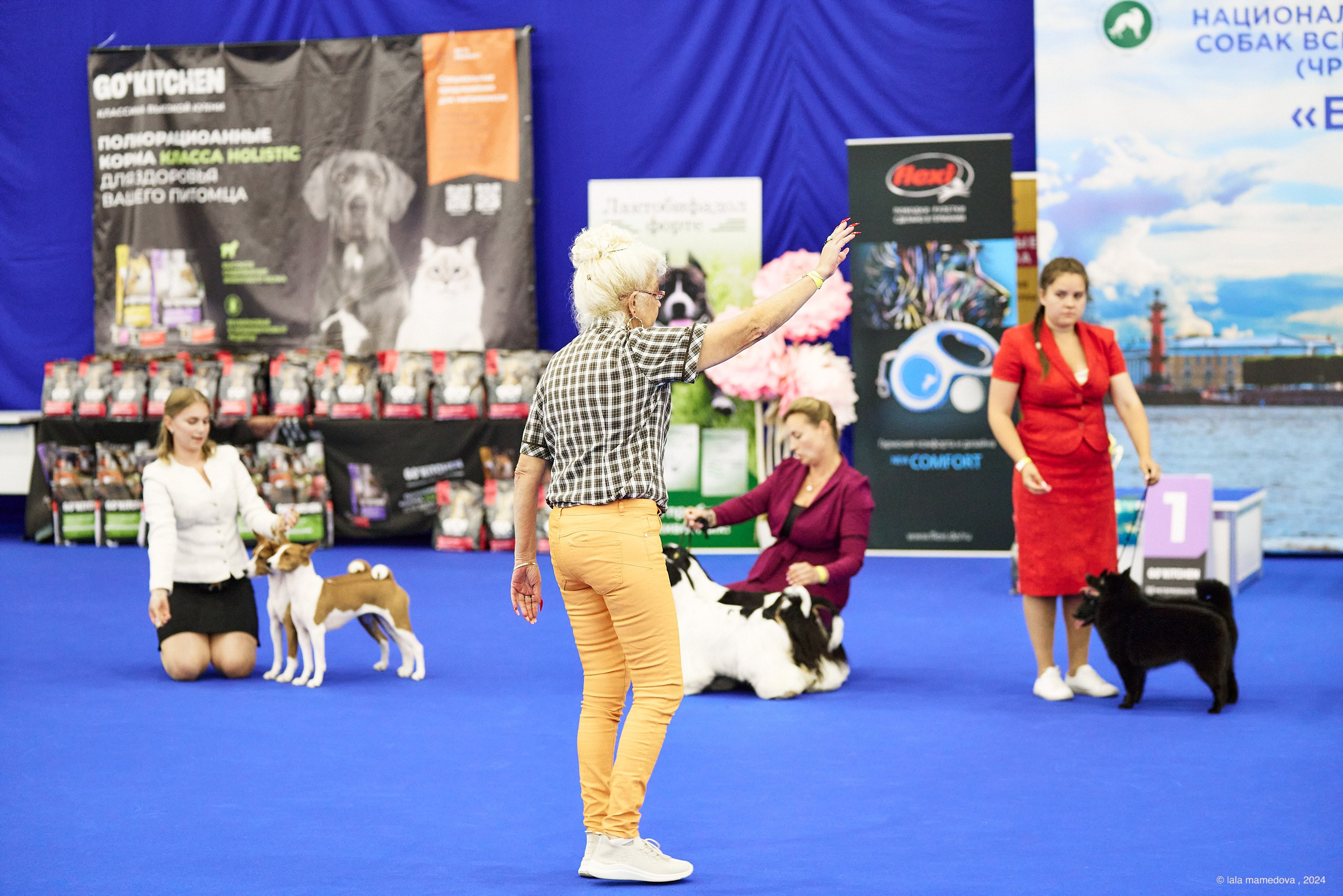 20.07.2024 | «БАЛТИК-ШОУ-1-2024»