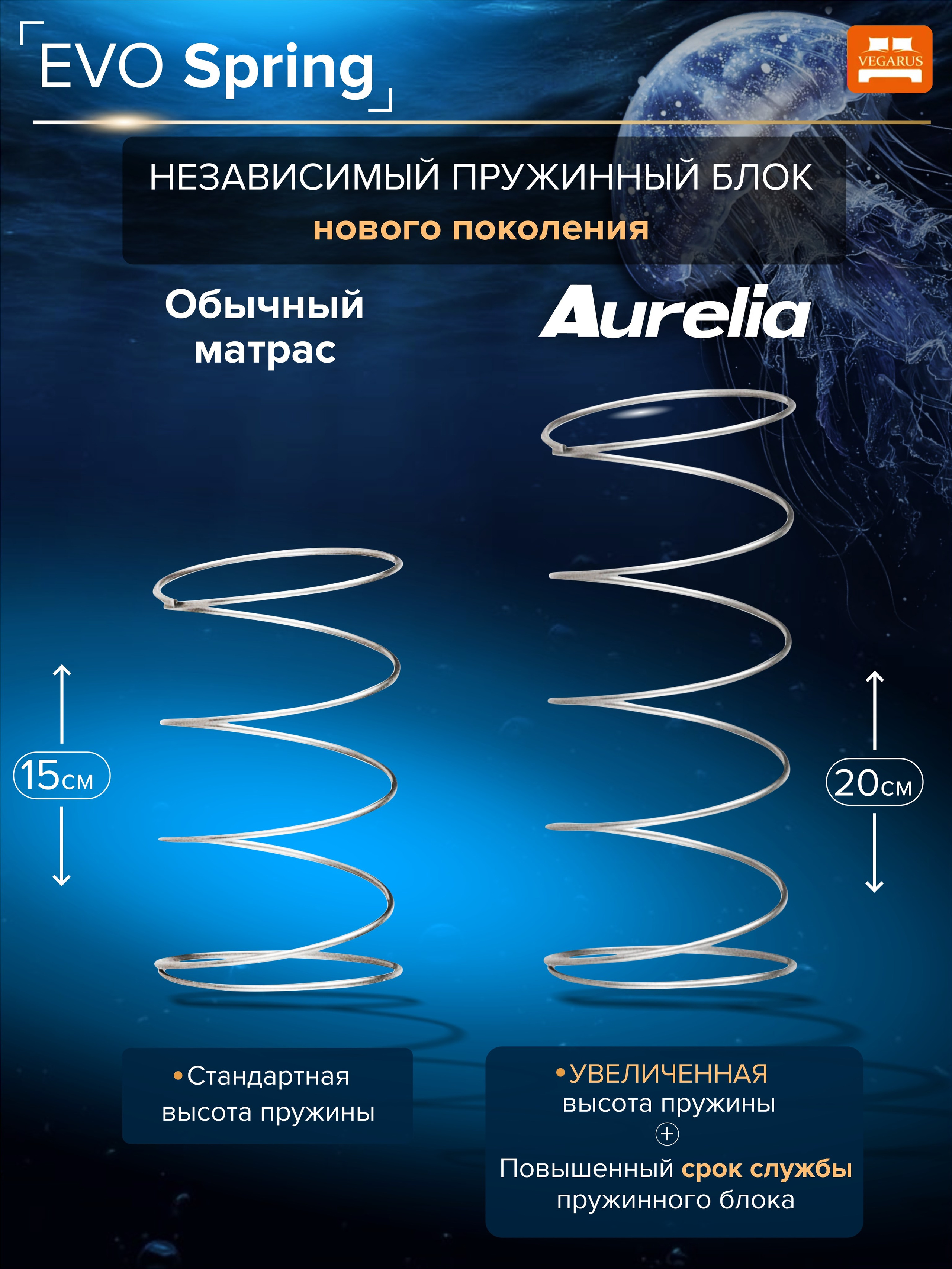 Инфографика и дизайн. XennArt — Графический дизайн, видеообзоры, инфографика, векторная иллюстрация и искусство живыми материалами