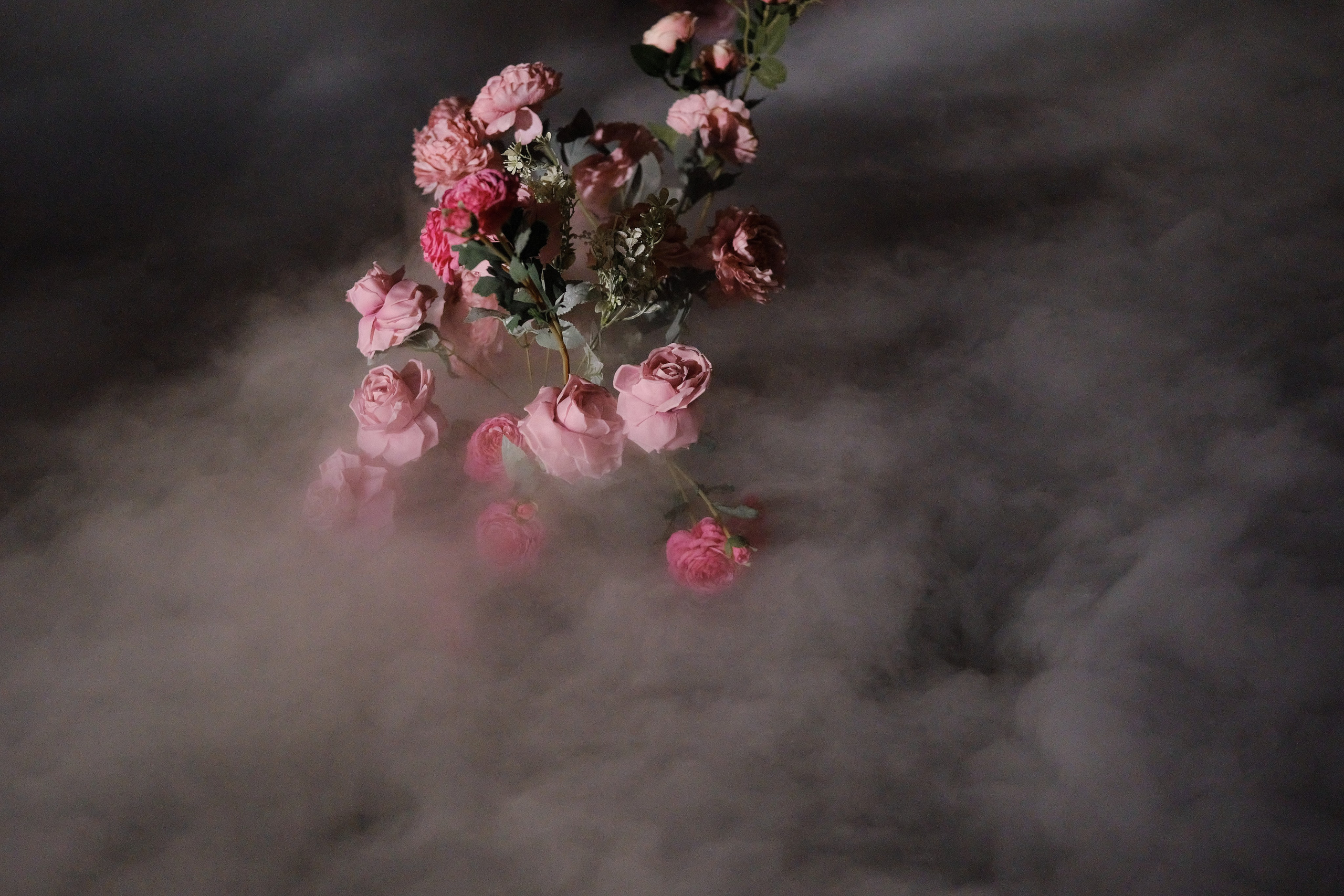 Тимофей и Анастасия. Фотограф Елена Маринина Москва