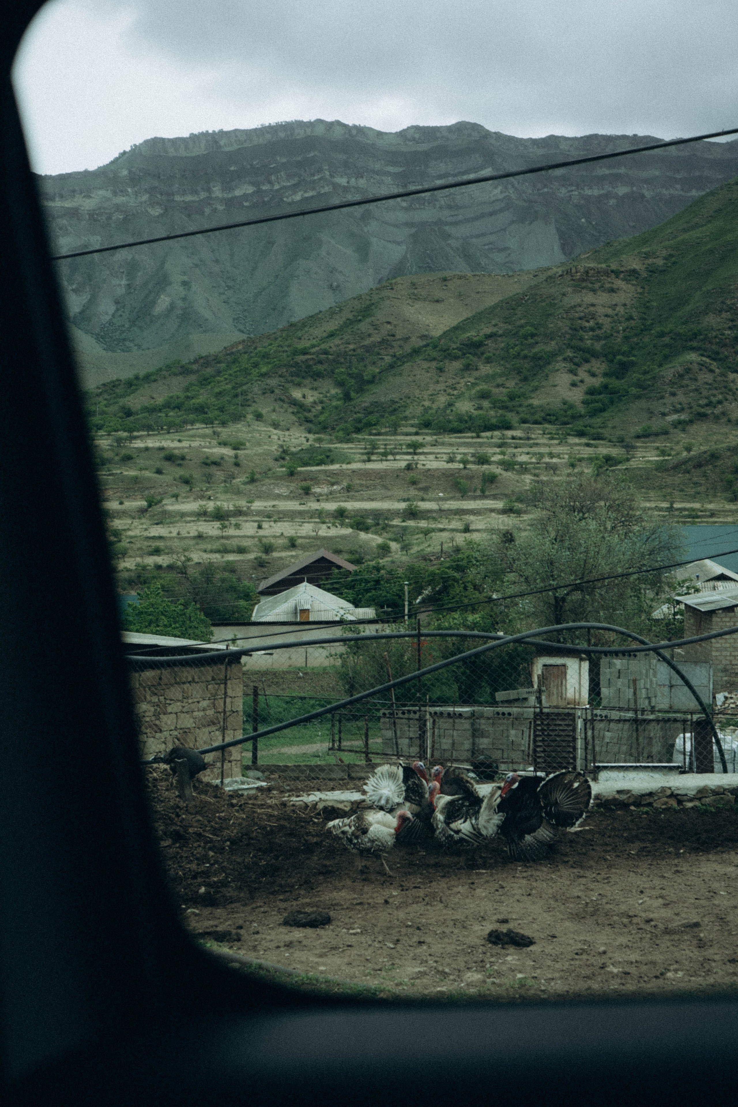 Кавказ. Профессиональный фотограф, Санкт-Петербург — Виктория Богомолова