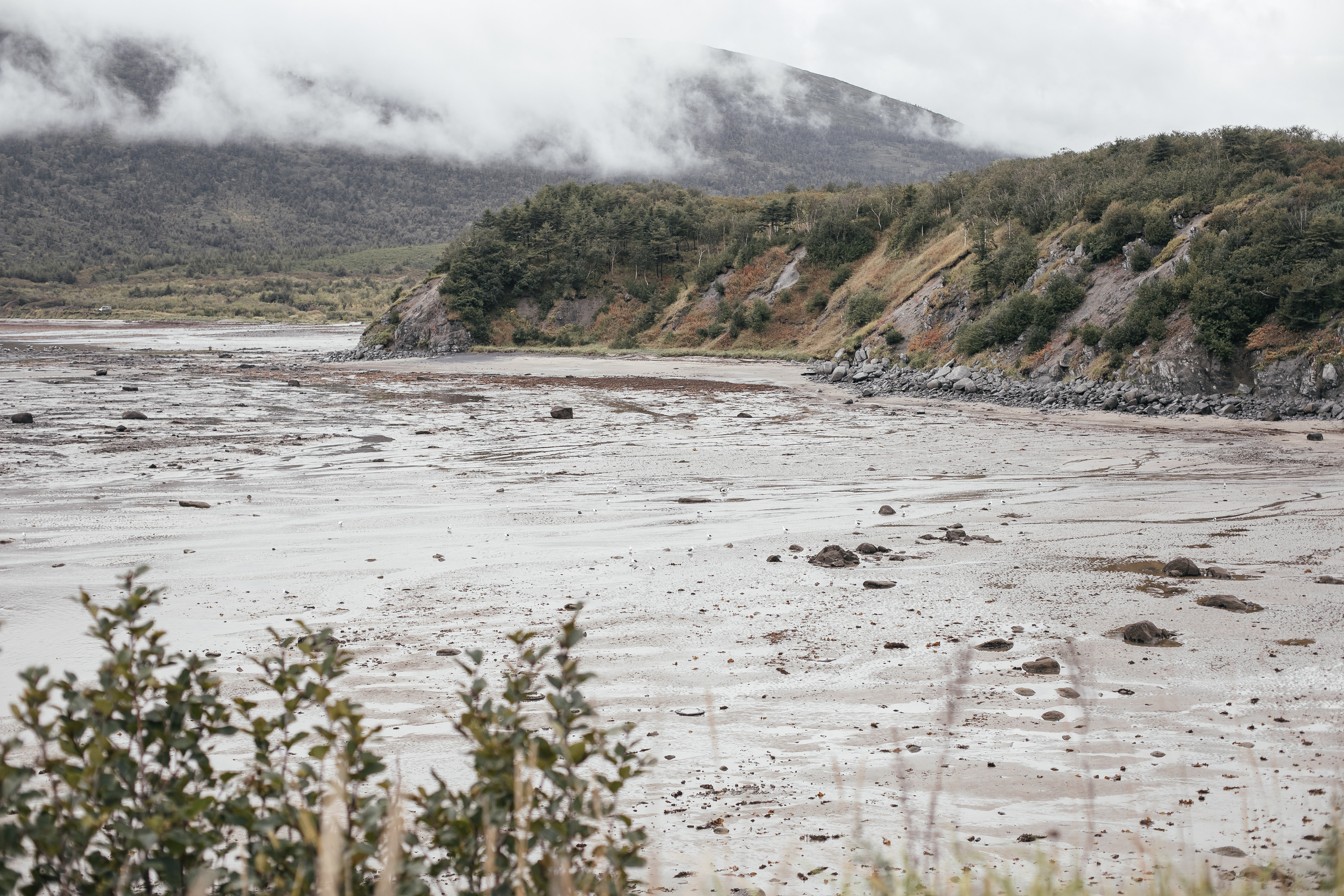 Свадебная фотосессия. Портретный, семейный, свадебный фотограф в Магадане — Екатерина Литвин