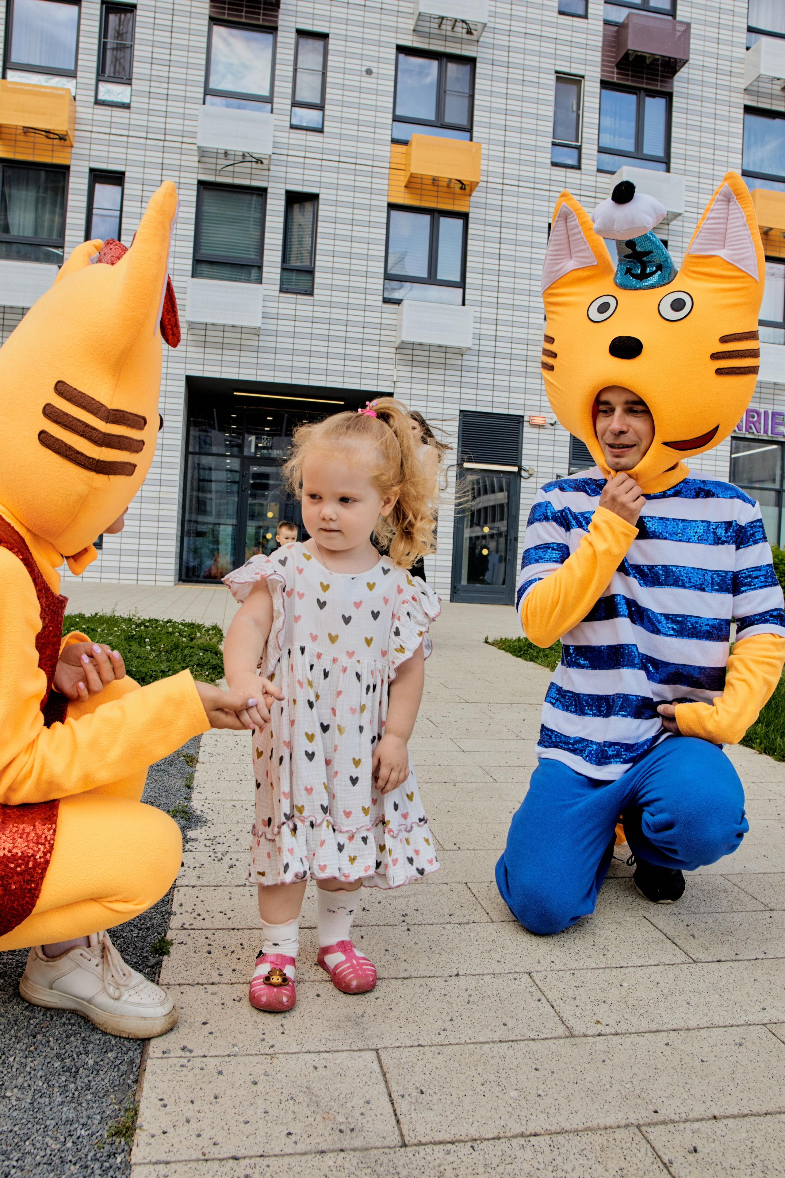 Три кота. Фотограф Москва