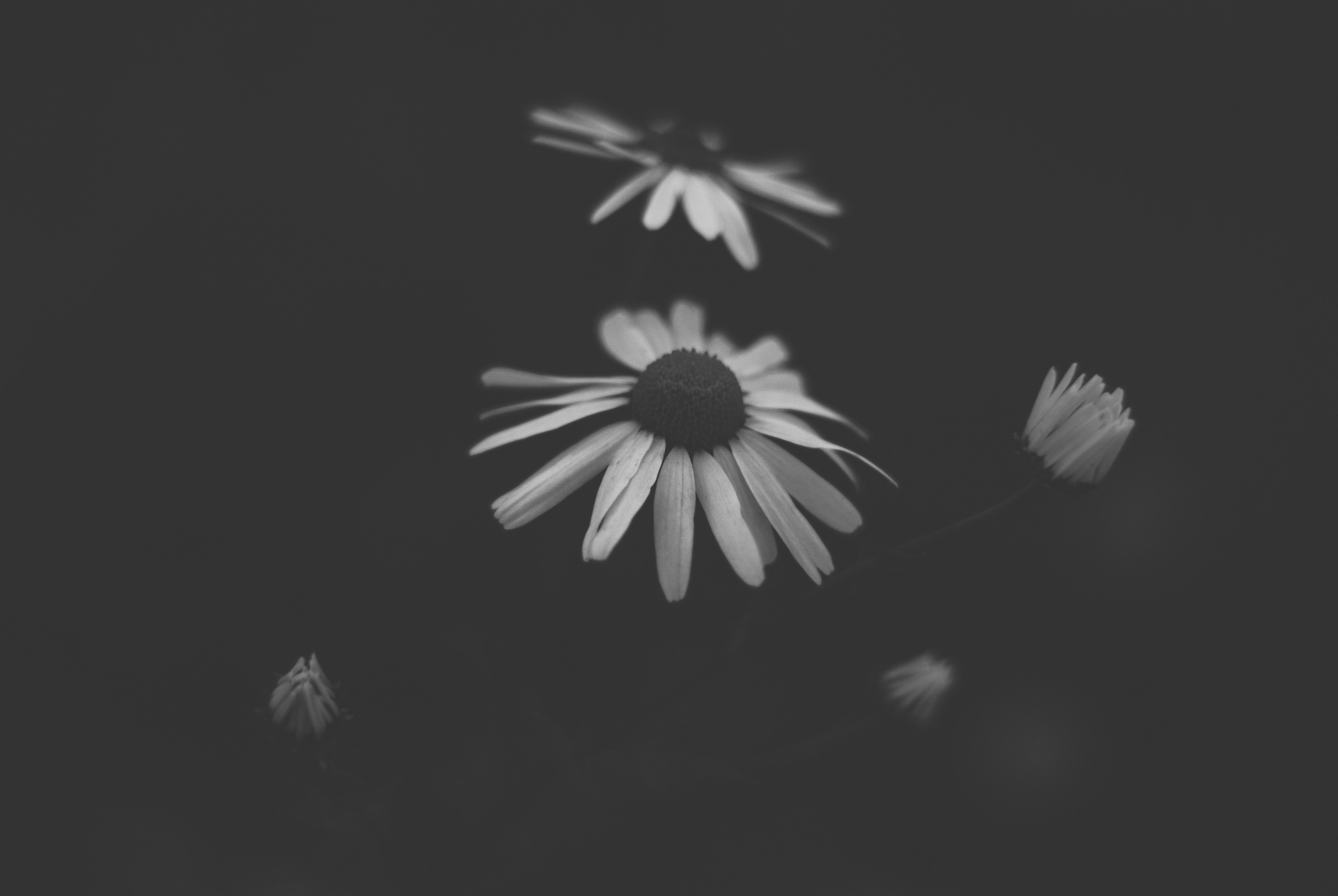 Внутривенные сны (2018-2023)