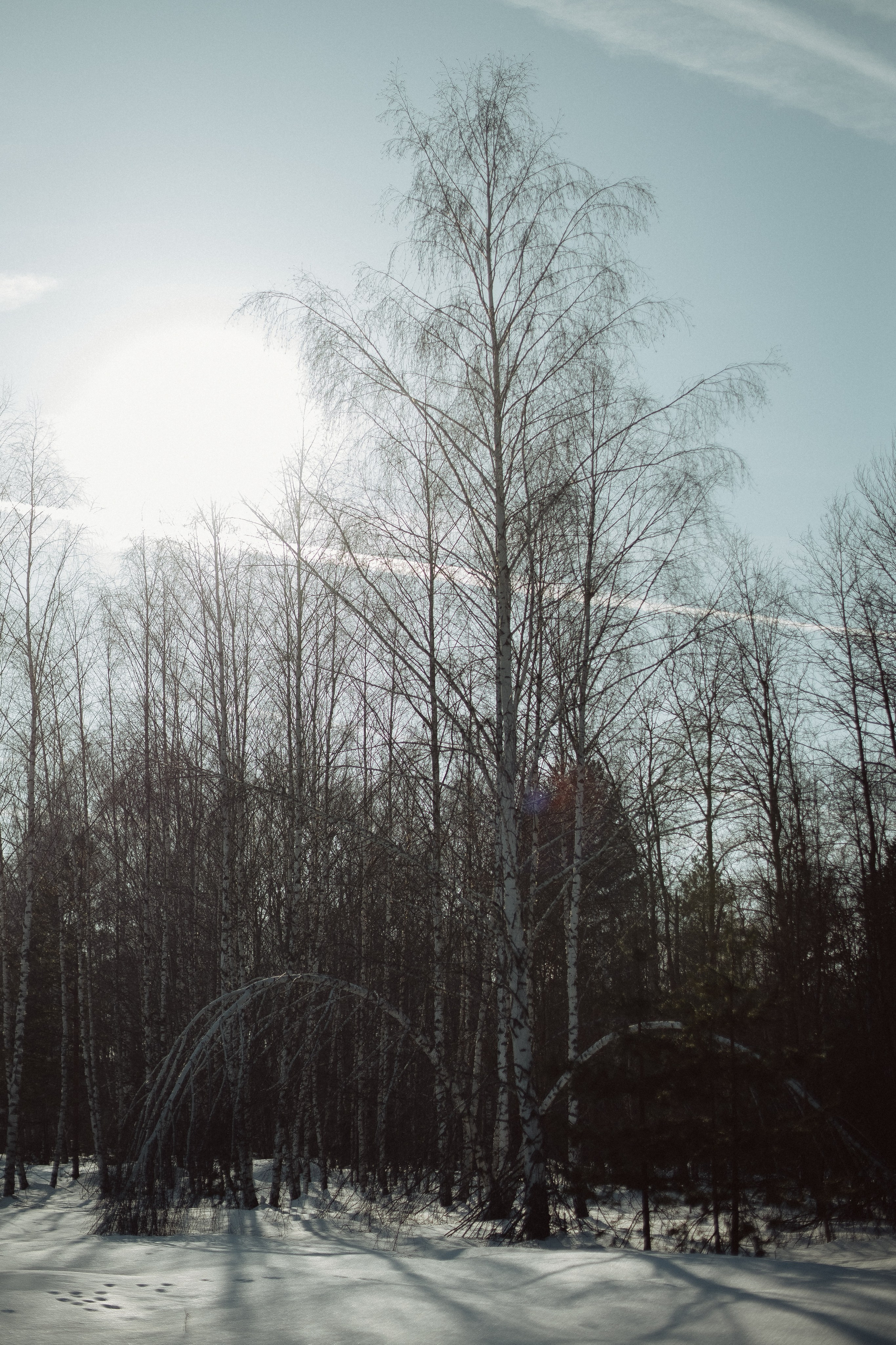 Экопарк ПОЛЯНЫ. Главная