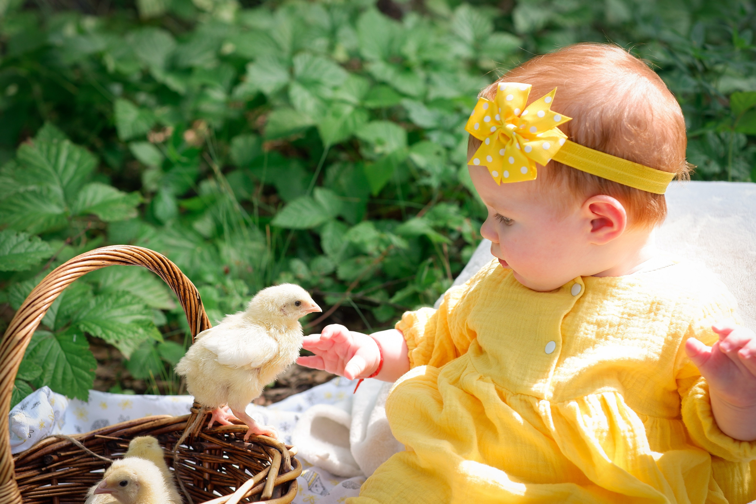 Семья Пичугиных. Портретный фотограф Александра Новикова Тюмень