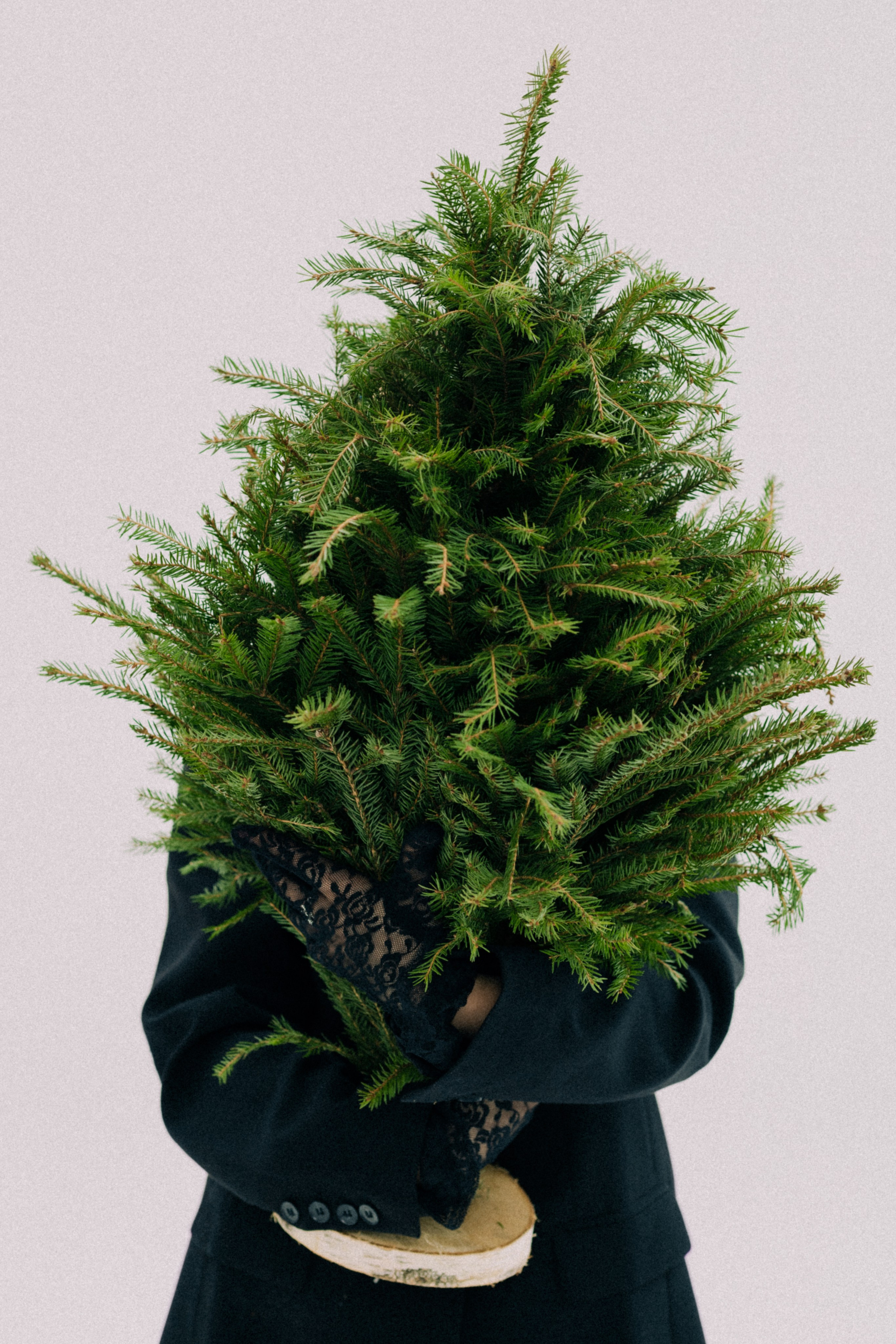 Юлия К. Репортажный фотограф в городе Ростов-на-Дону Даниил Молодовский