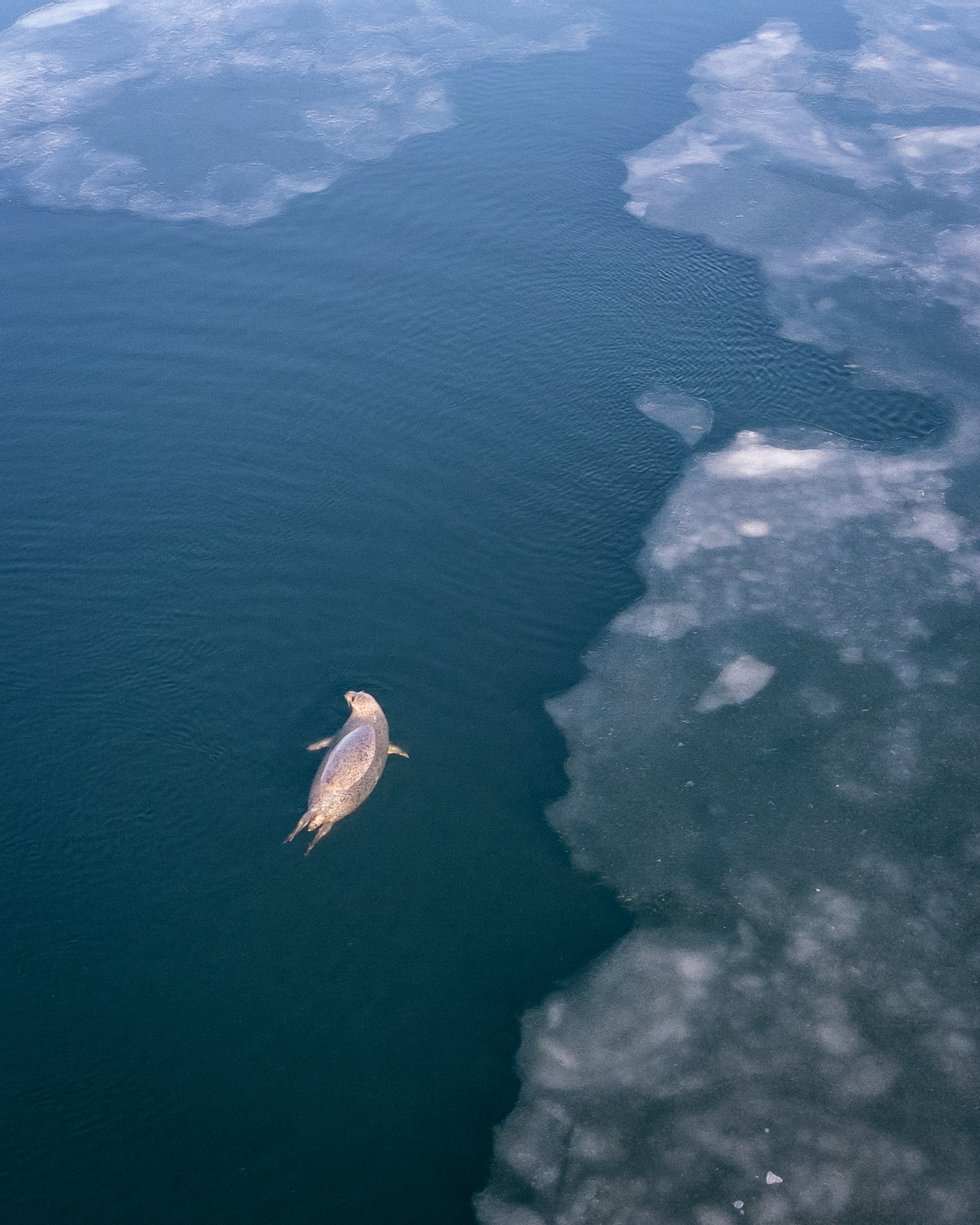Landscape. Фотограф Валентин Кольцов, фотограф владивосток, свадебный фотограф, с
