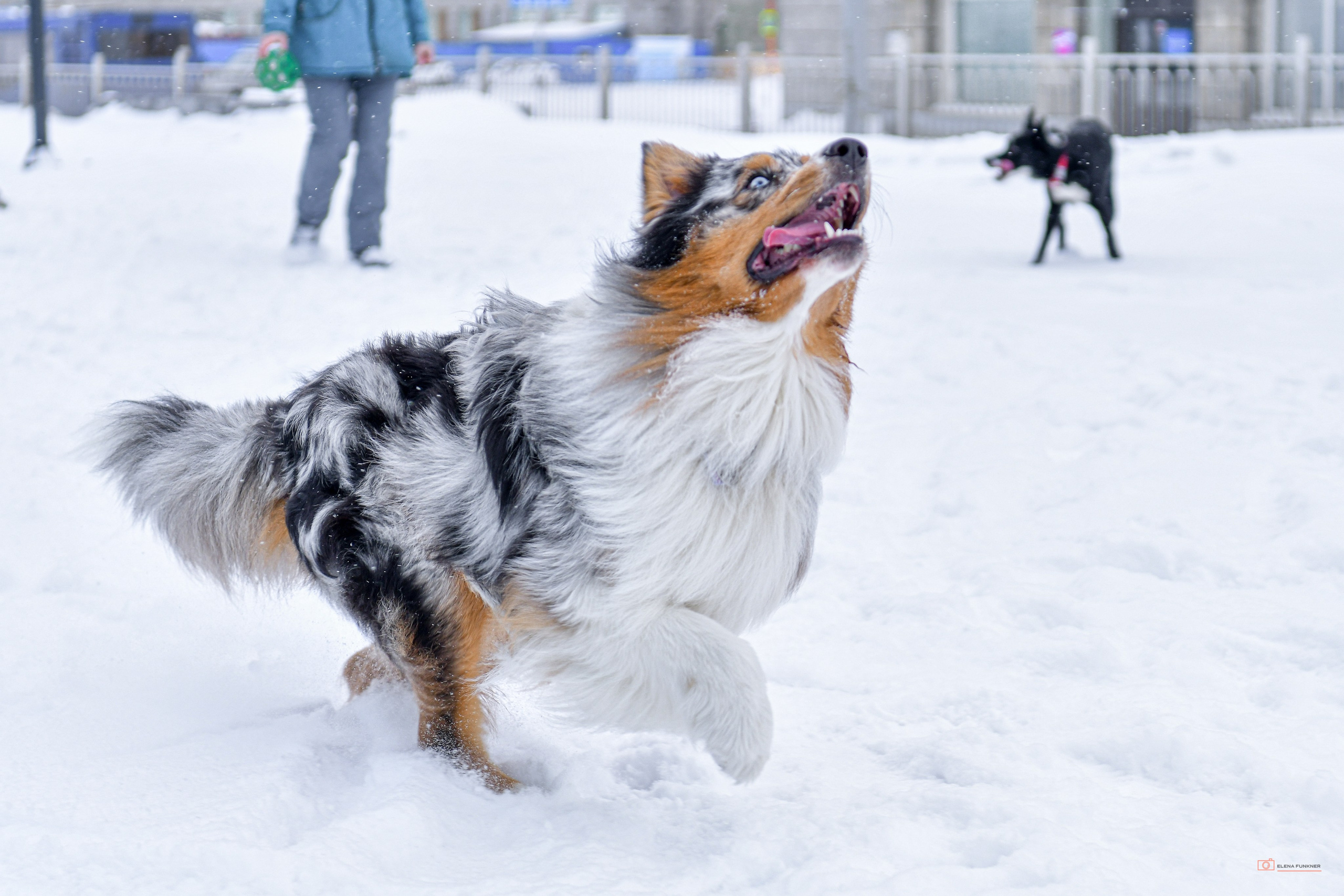 Зима. Свой взгляд через объектив