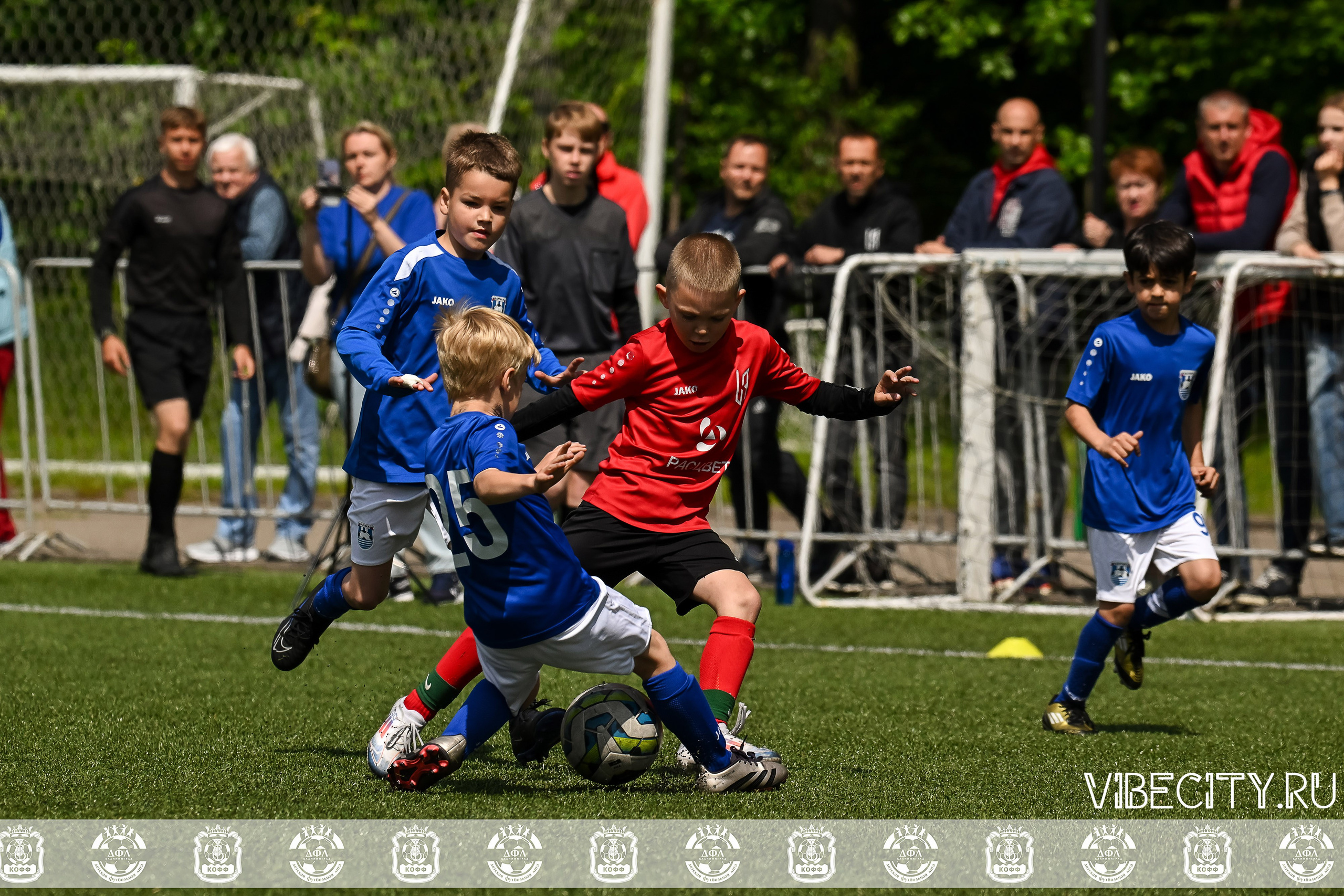 Большие Звезды светят Малым. VIBECITY.RU Вайб Сити Ру Фоторепортажи Фотоотчеты Калининград