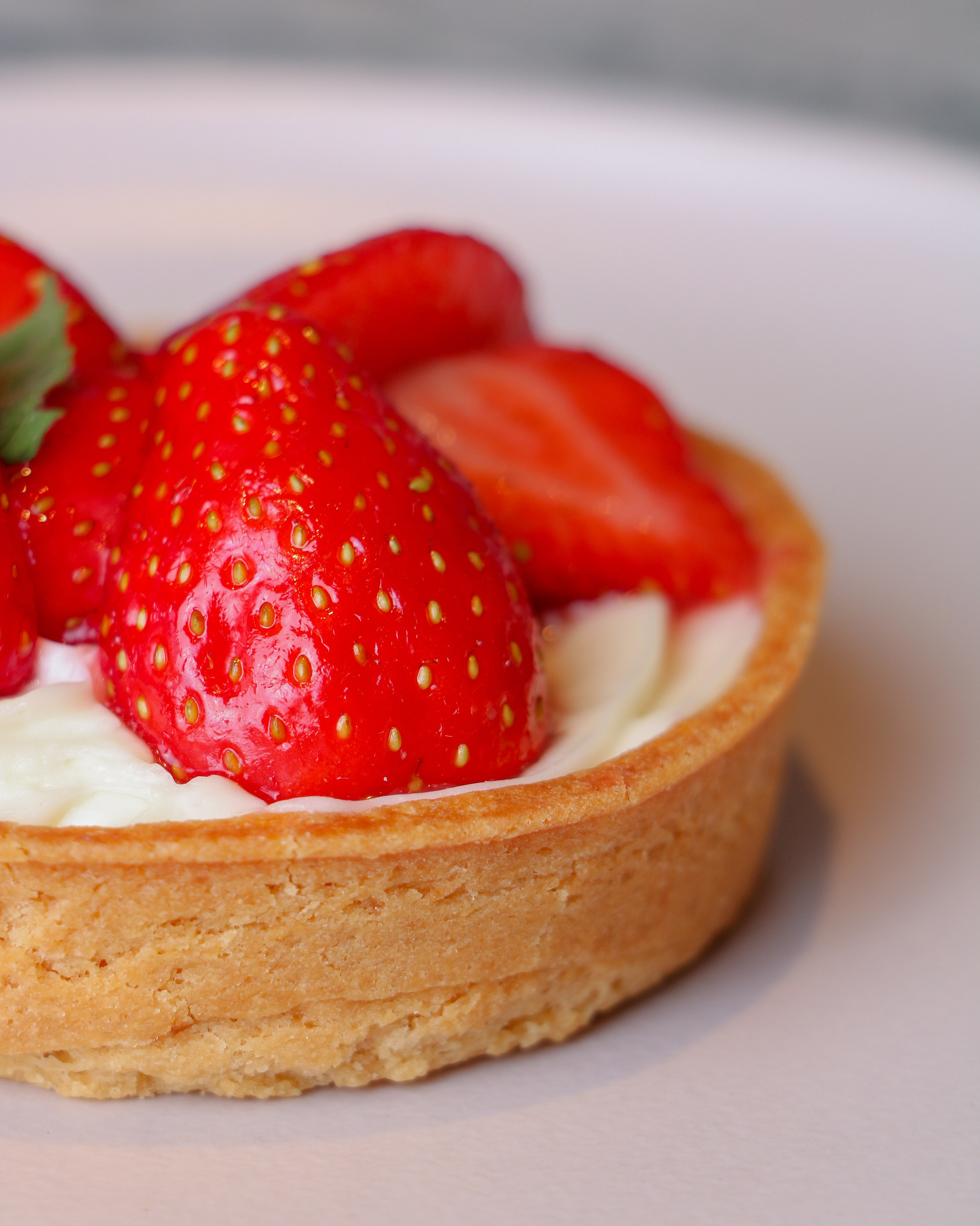 ВДНХ (Лев Бородинский). Контент-фотограф Калининград АНАСТАСИЯ ТКАЧЕВА